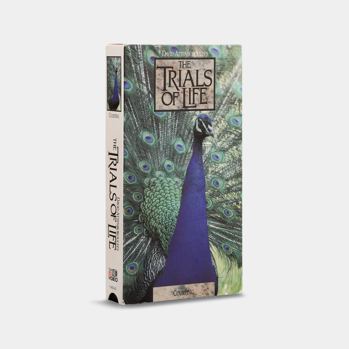 The Trials of Life: Courting VHS Tape