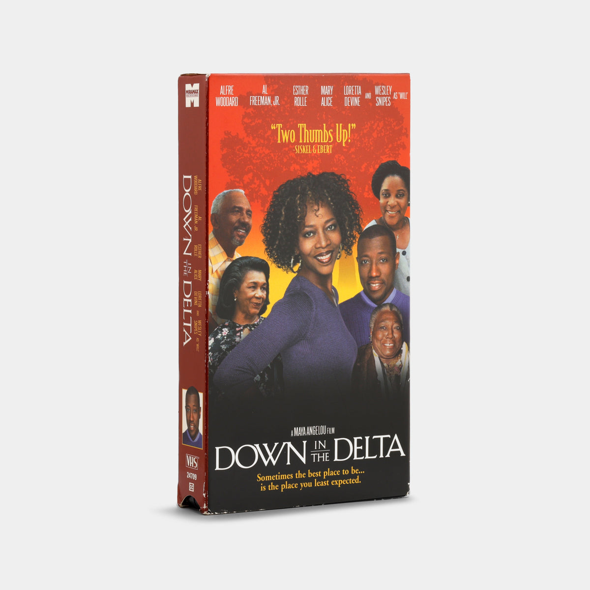 Down in the Delta VHS Tape