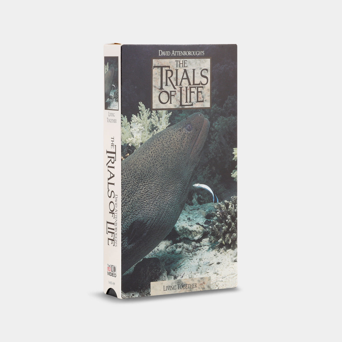 The Trials of Life: Living Together VHS Tape