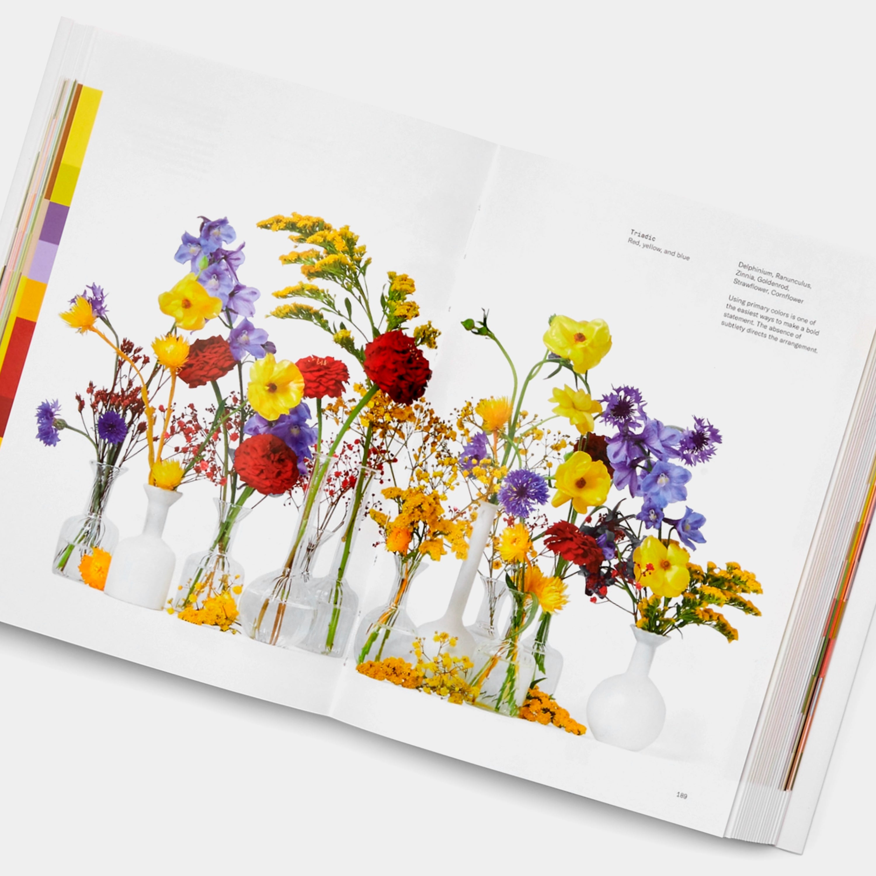Empty Vase - Flower Color Theory by Darroch Putnam - Same Day