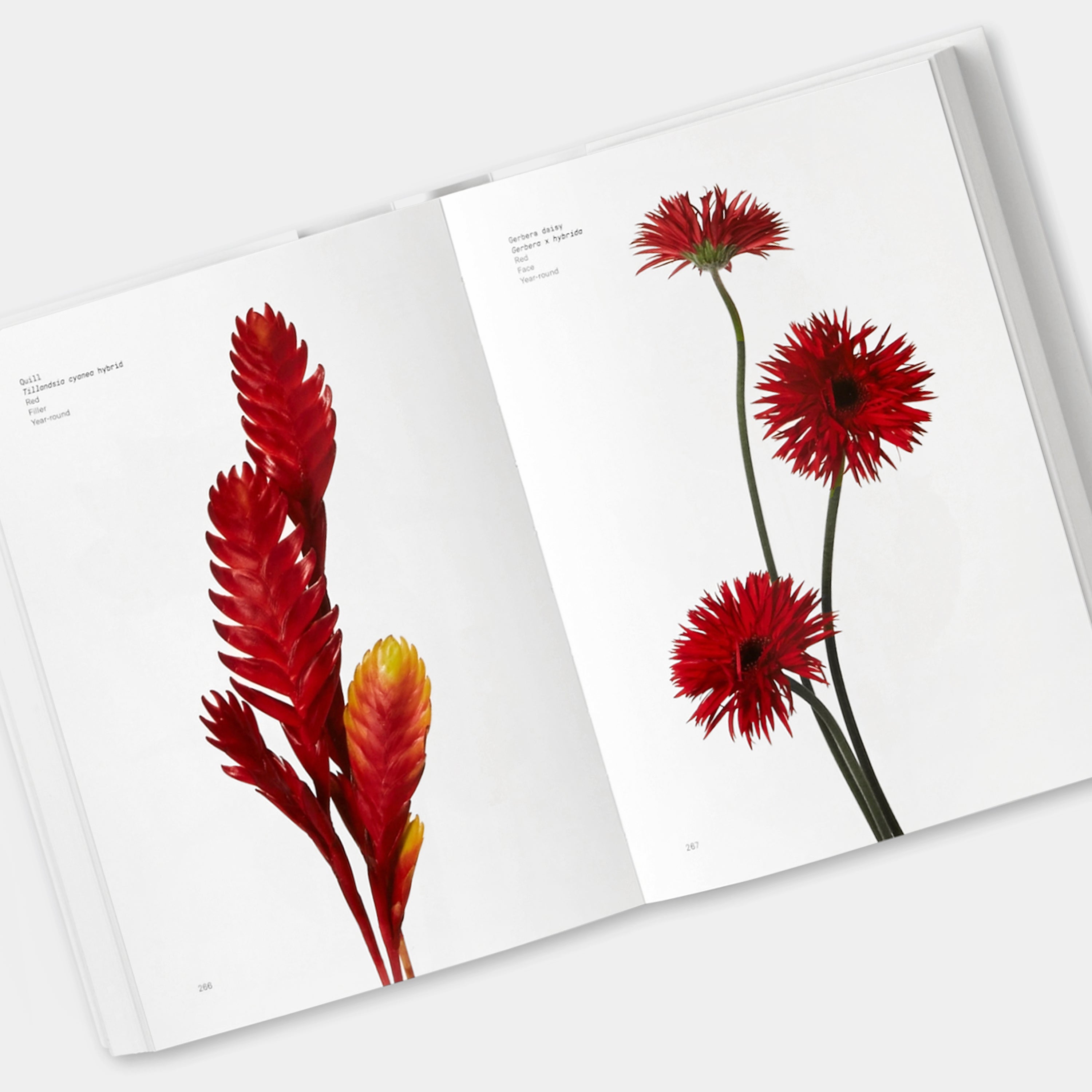 Flower Color Guide Phaidon Book