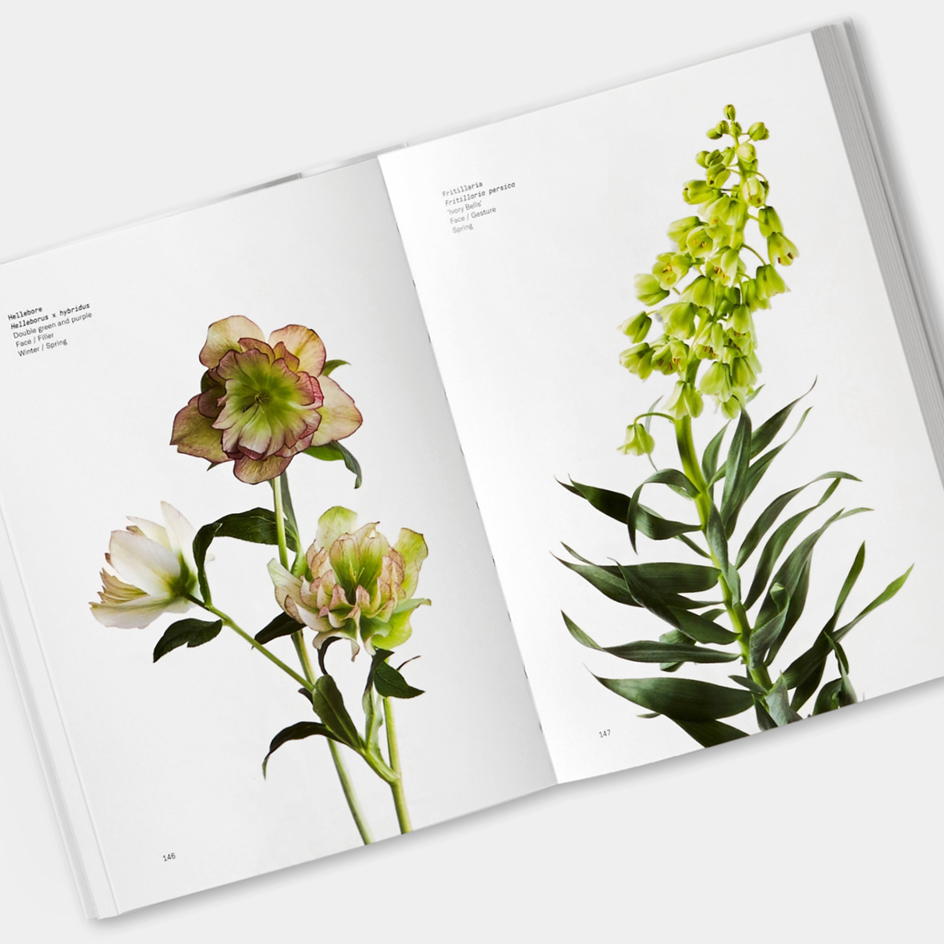 Flower Color Guide Phaidon Book