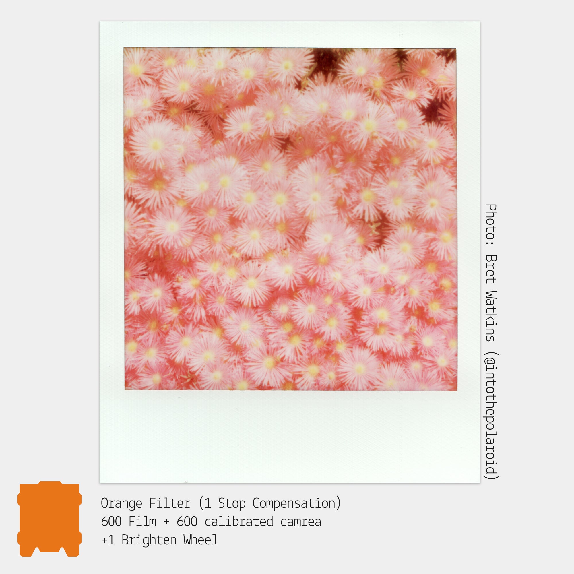 Colored Gel Filters for Instant Film Cameras (5-Pack)