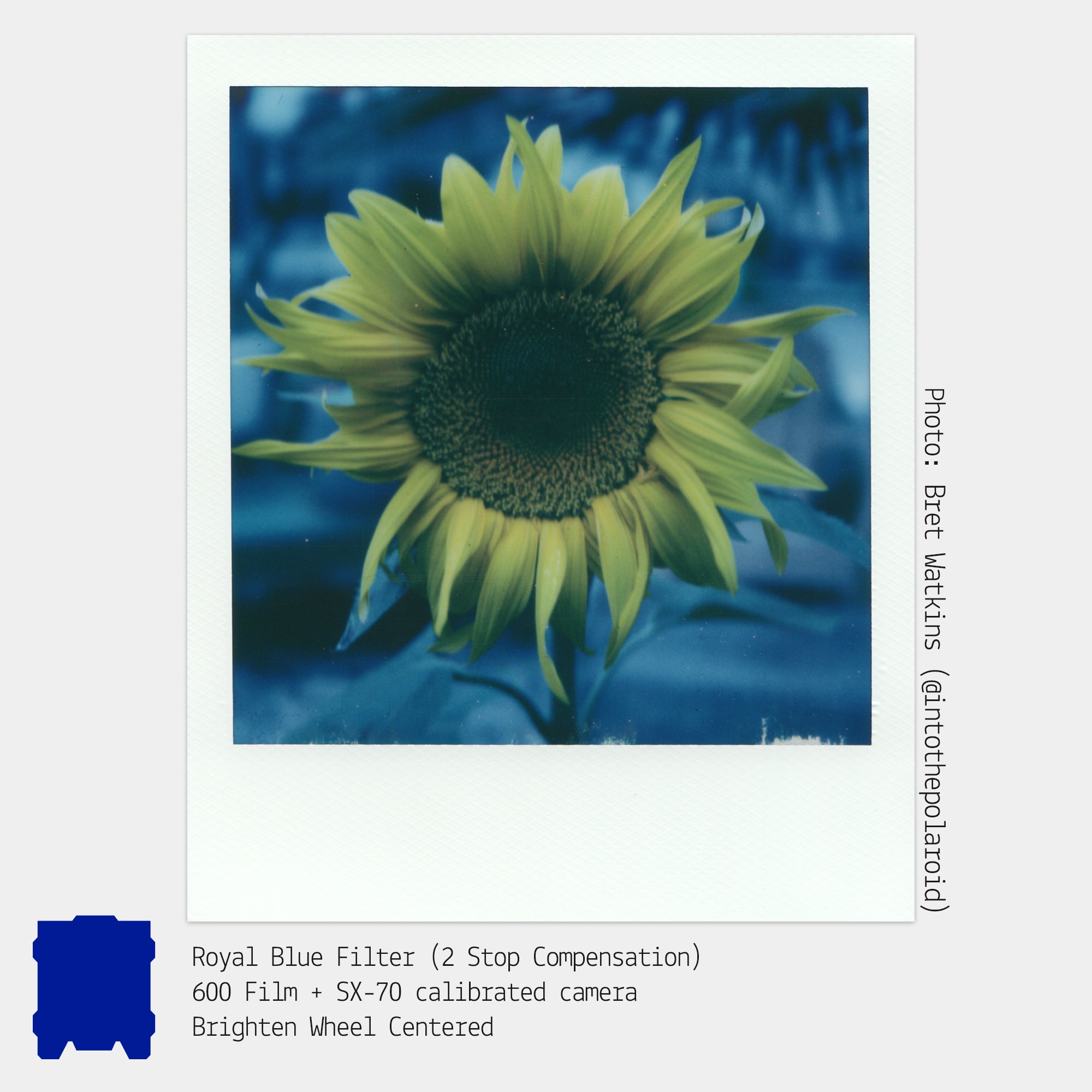 Colored Gel Filters for Instant Film Cameras (5-Pack)