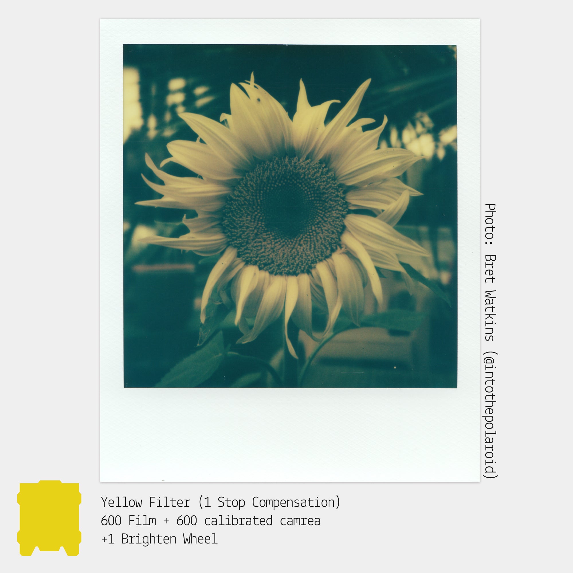 Colored Gel Filters for Instant Film Cameras (5-Pack)