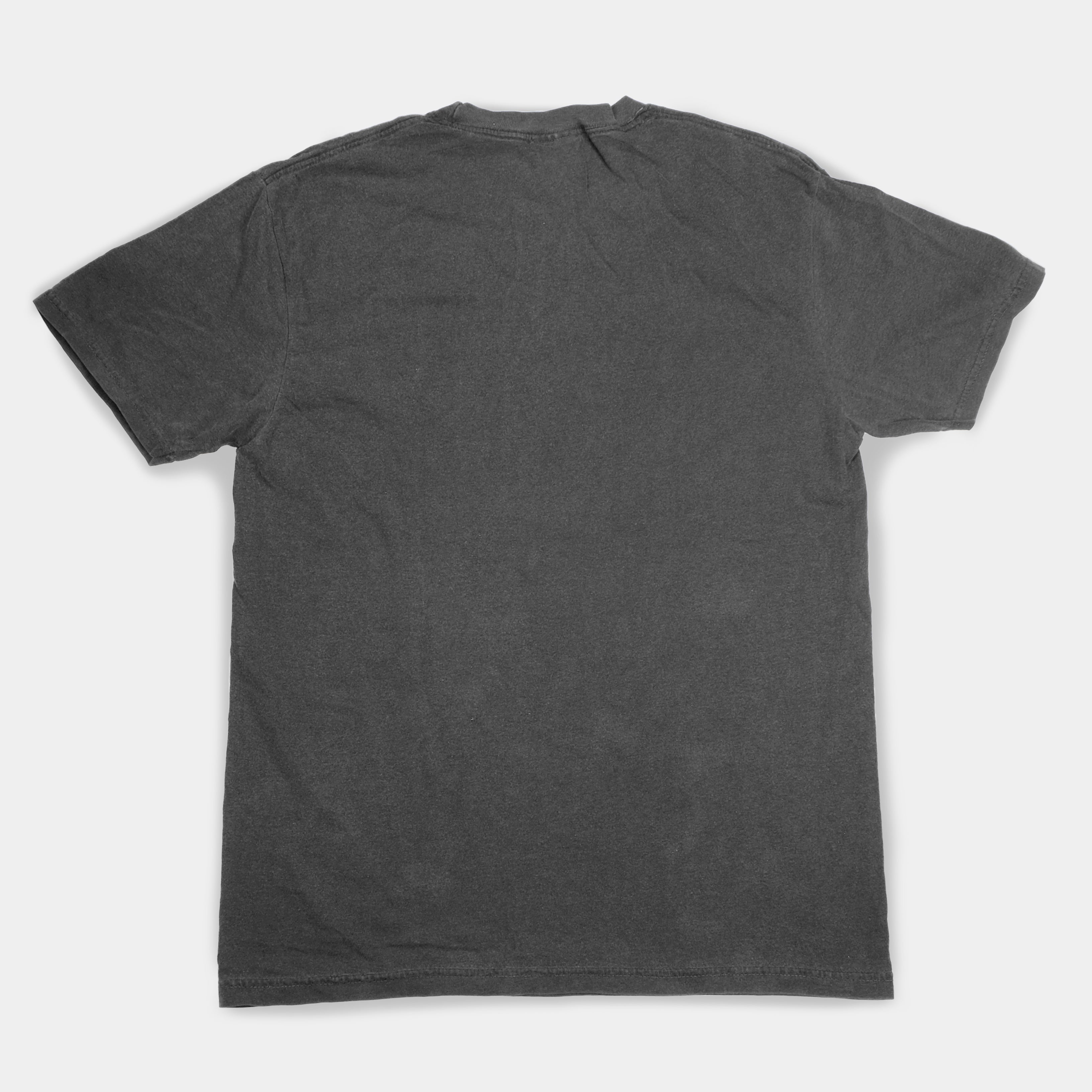 Earl's Closet - Earl McGrath "Clean Records" Gray T-Shirt