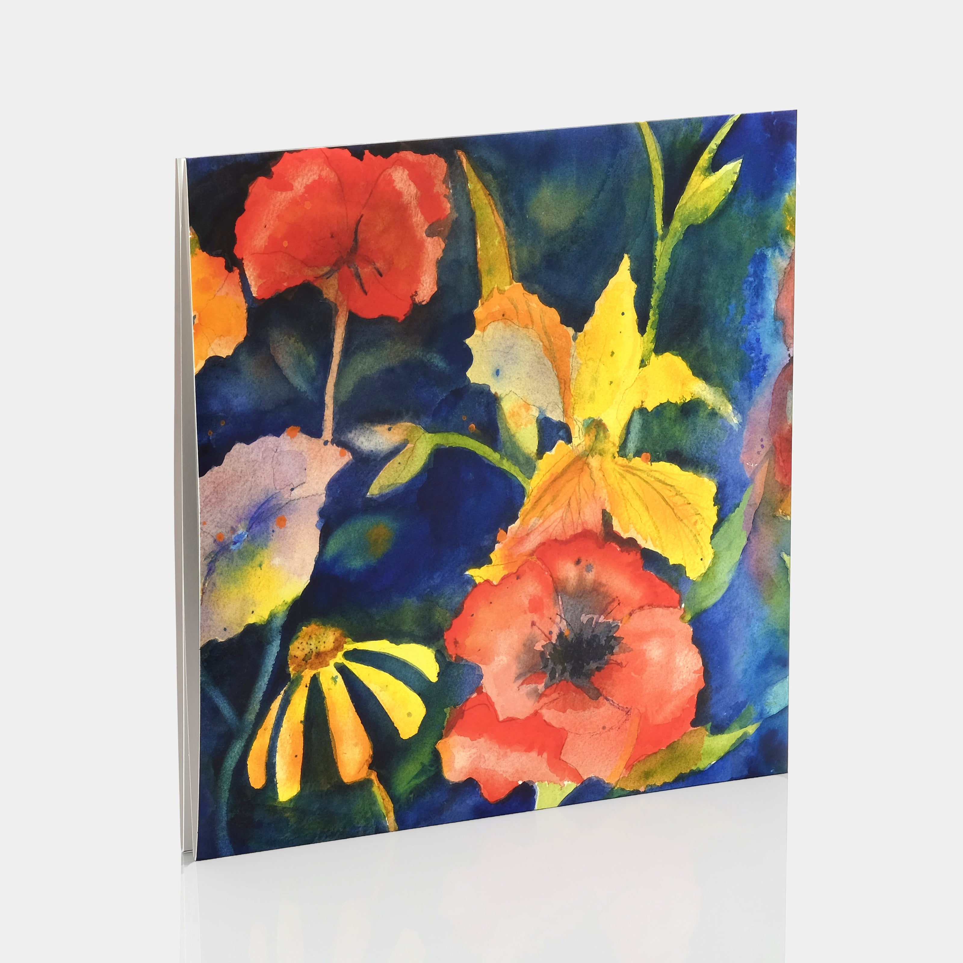 Adrianne Lenker Songs and Instrumentals 2xLP Vinyl Record