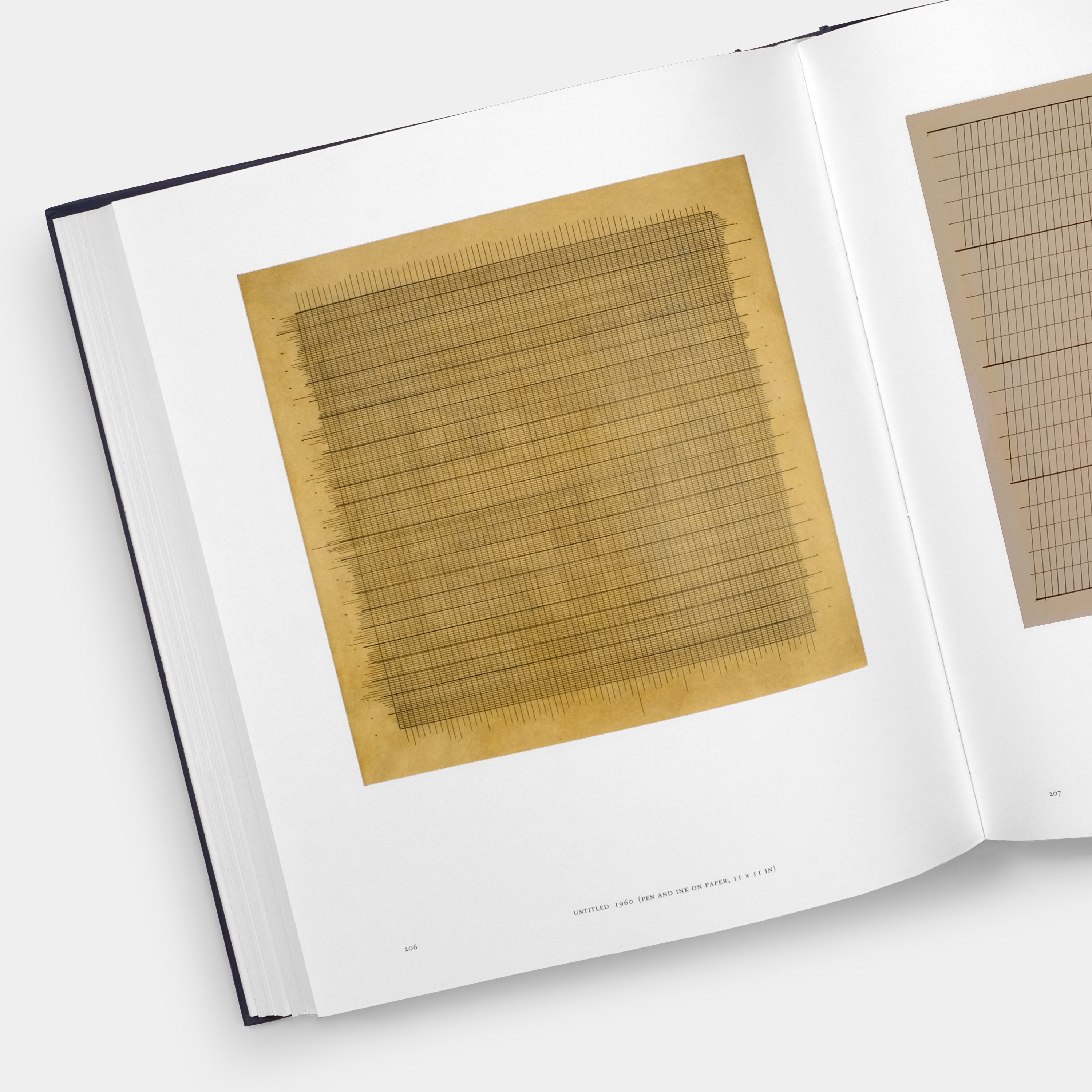 Agnes Martin: Painting, Writings, Remembrances by Arne Glimcher Phaidon Book