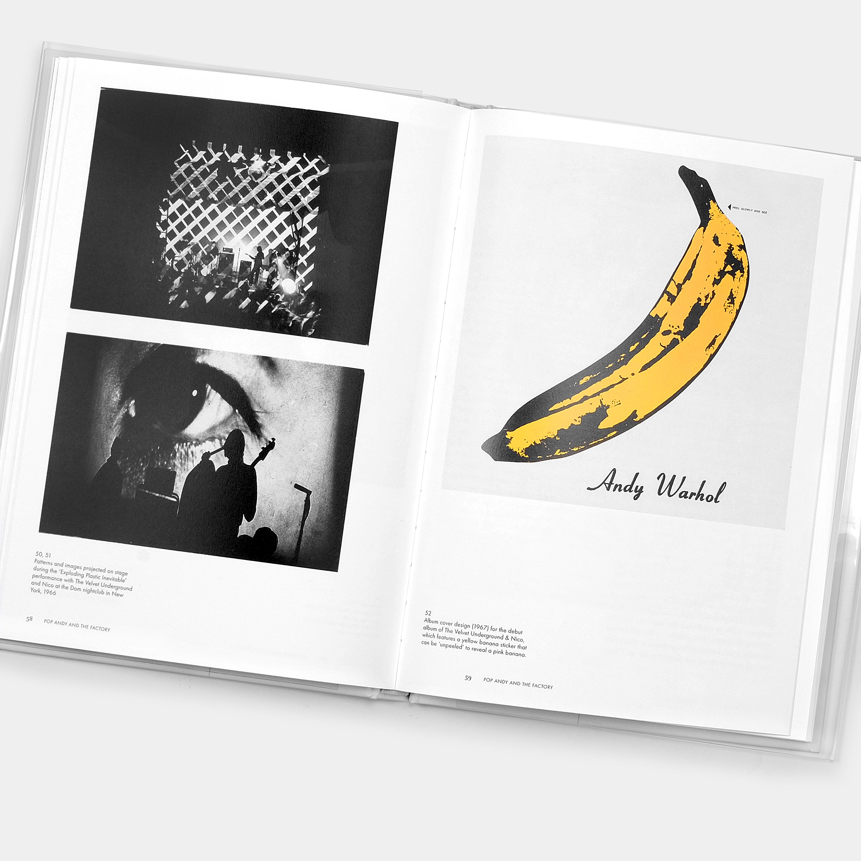 Andy Warhol: Phaidon Focus Book
