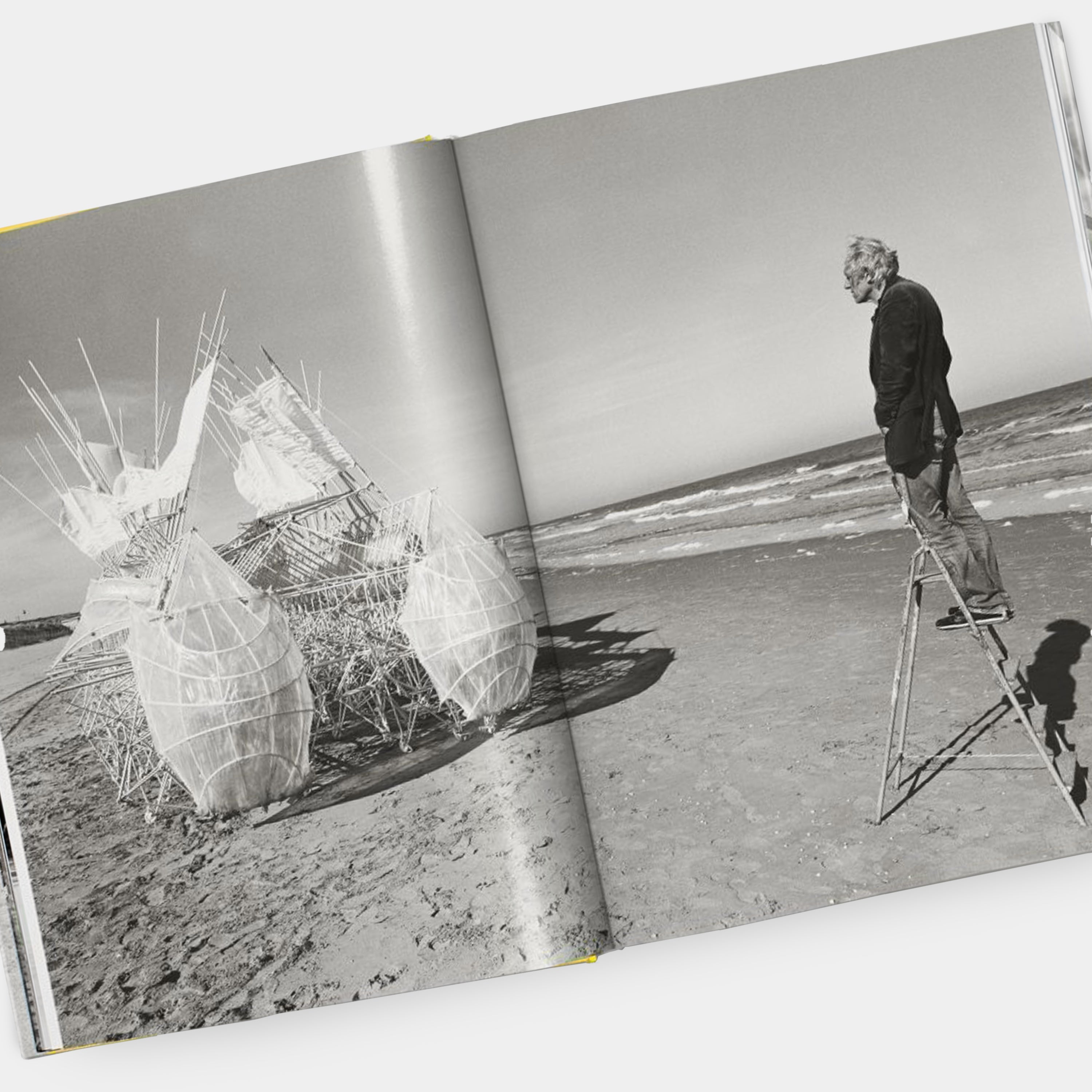 Strandbeest. The Dream Machines of Theo Jansen XL Taschen Book