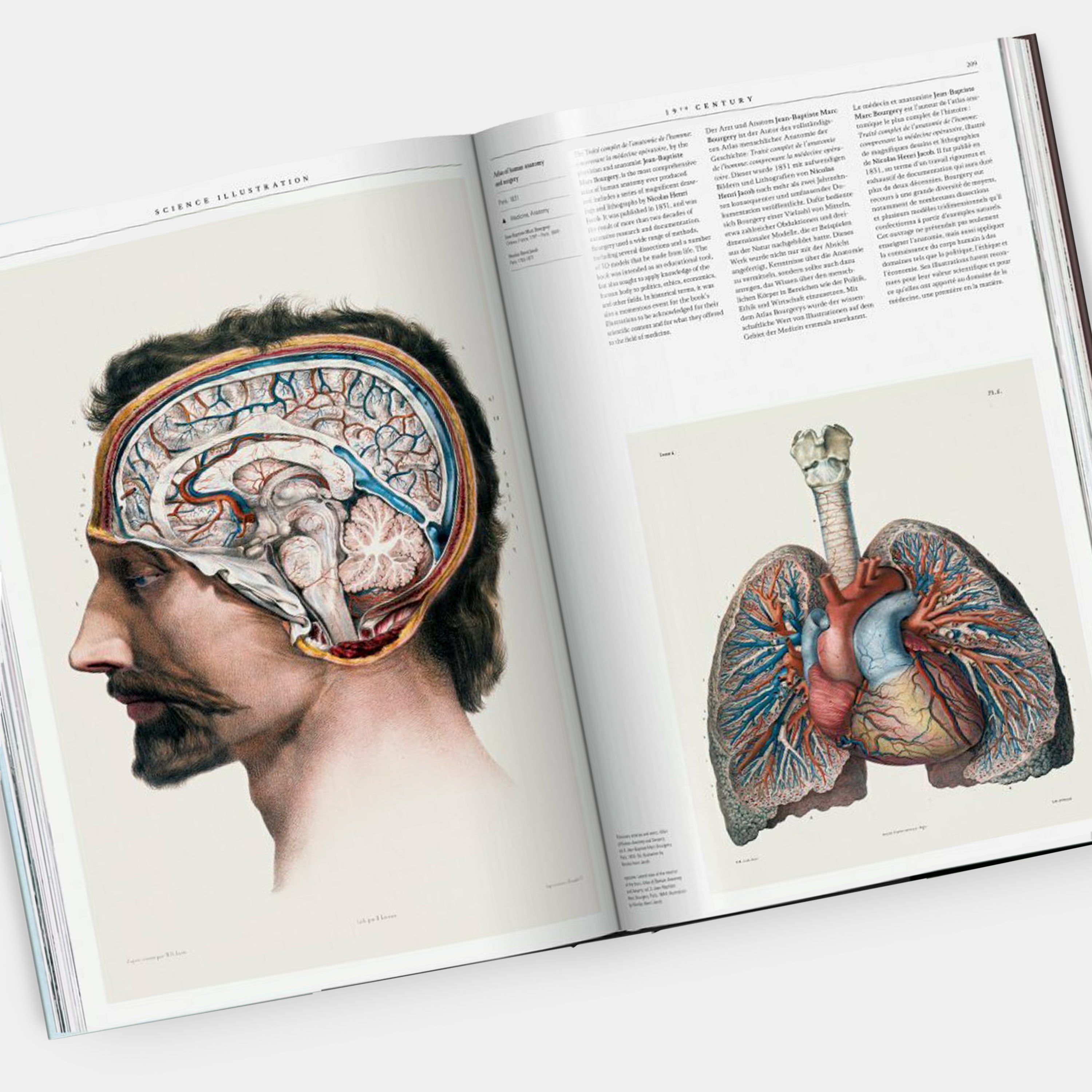 Science Illustration. A History of Visual Knowledge from the 15th Century to Today XL Taschen Book
