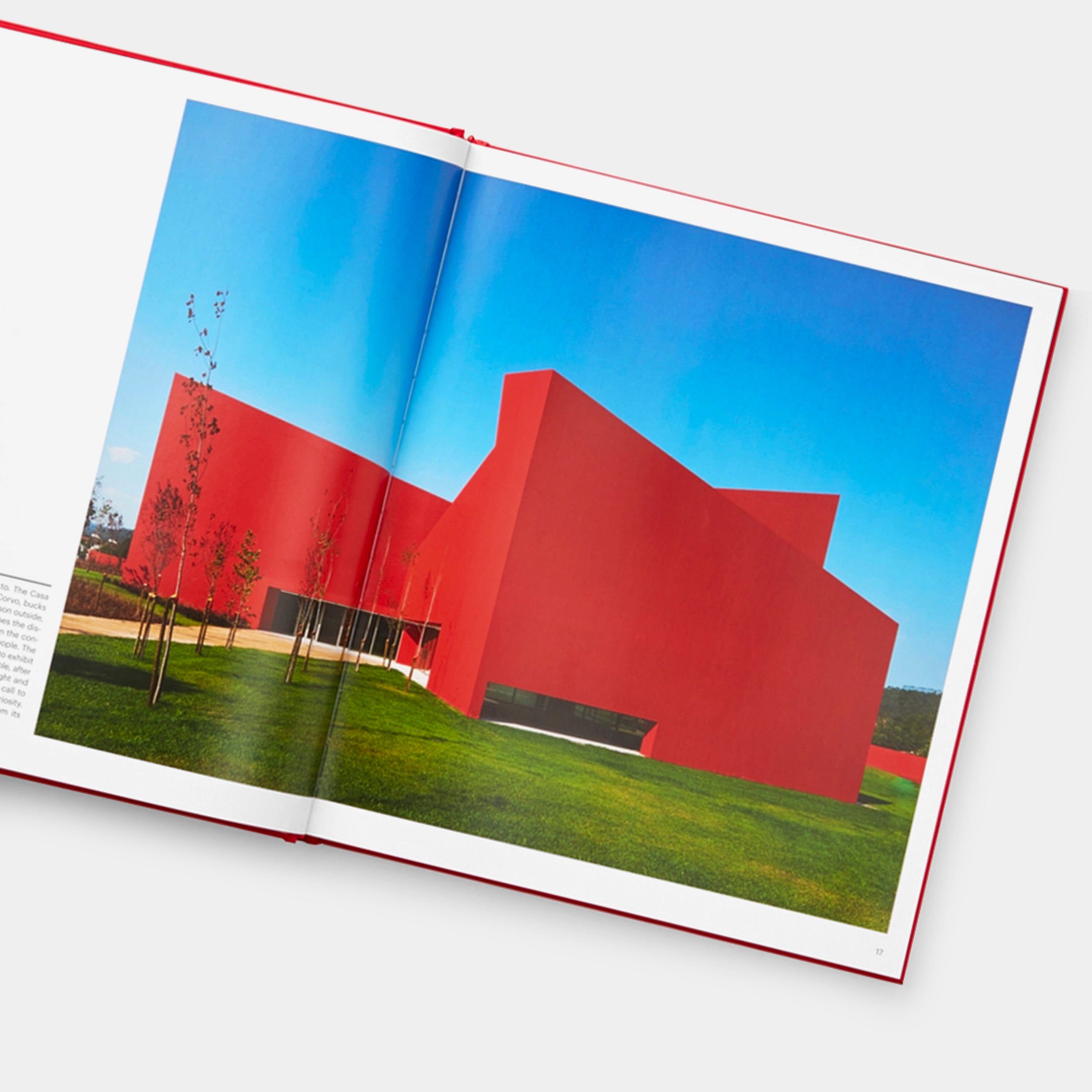 Red: Architecture In Monochrome Book