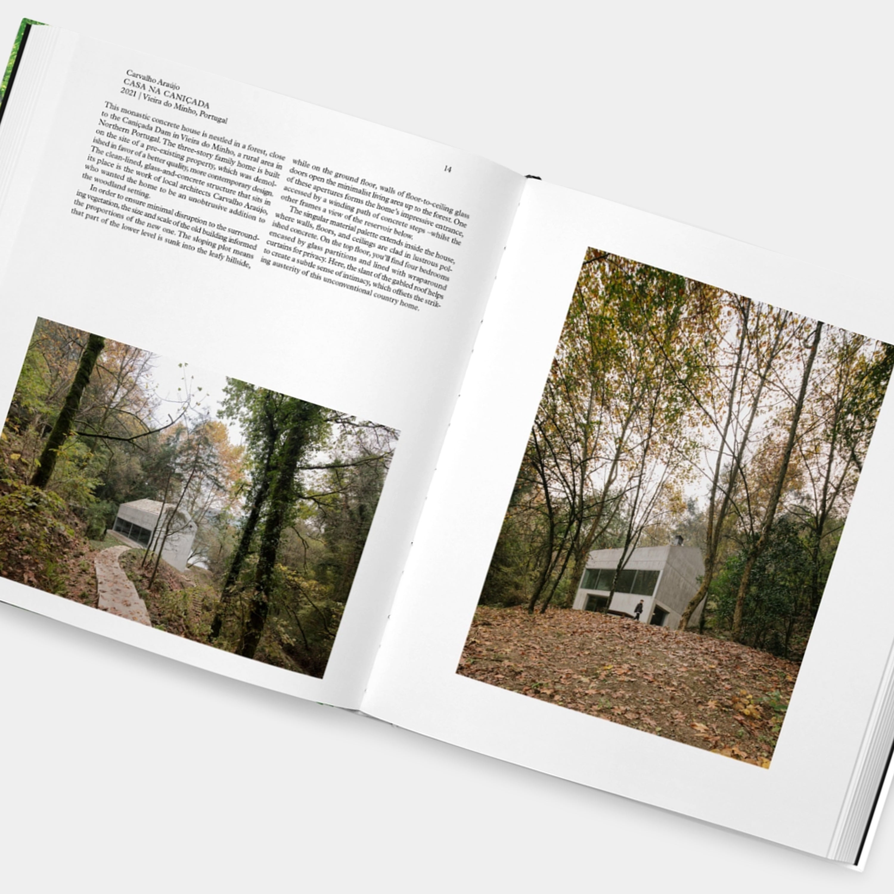 Living in the Forest Phaidon Book