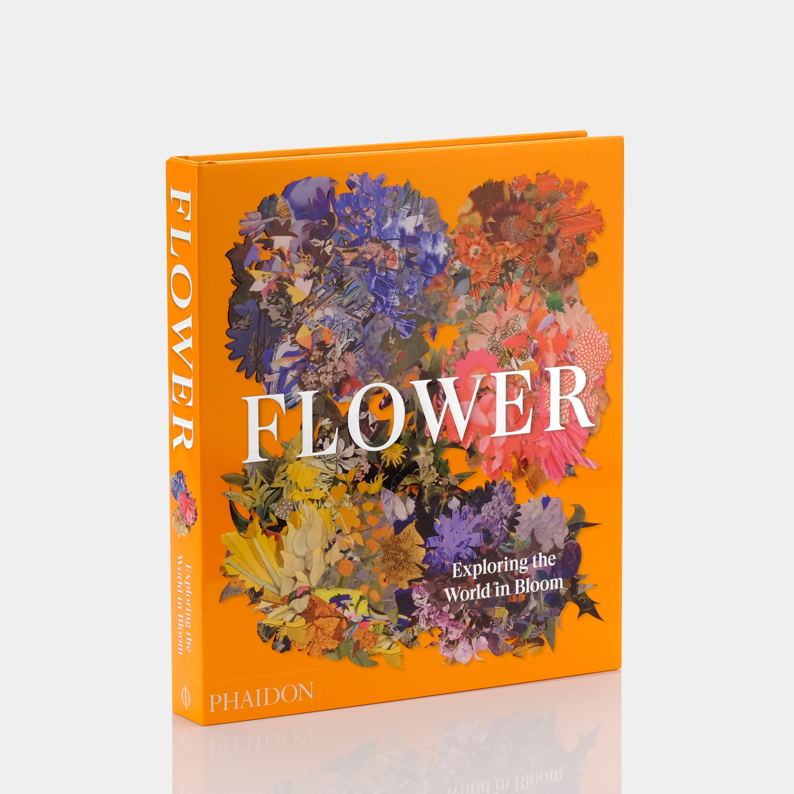 Flower Exploring the World in Bloom Phaidon Book