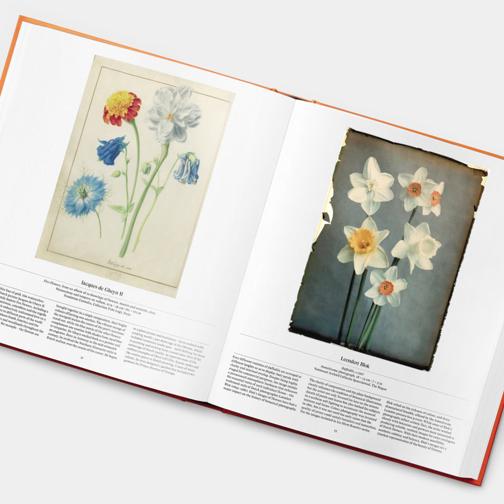 Flower Exploring the World in Bloom Phaidon Book
