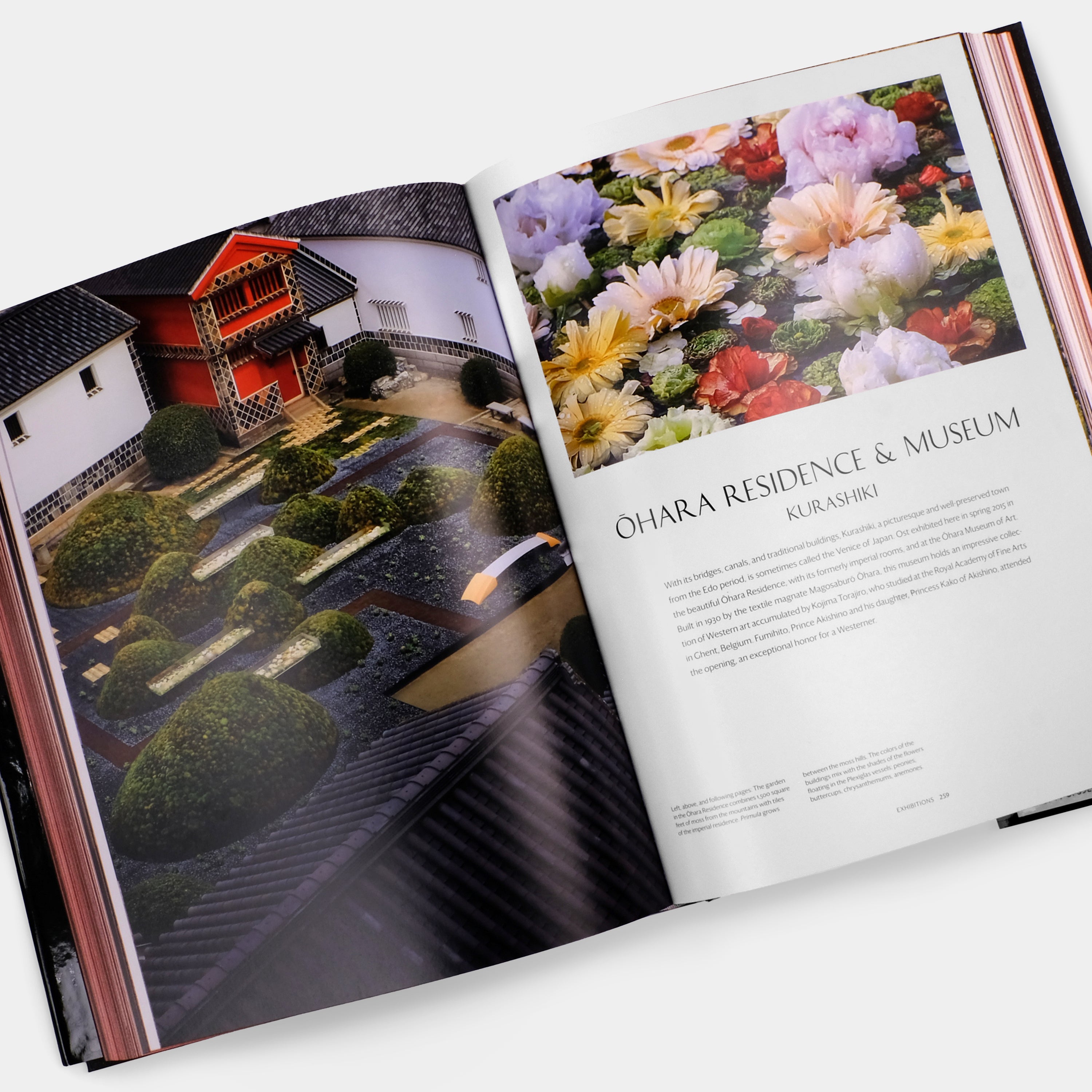 Daniel Ost: Floral Art and the Beauty of Impermanence Phaidon Book