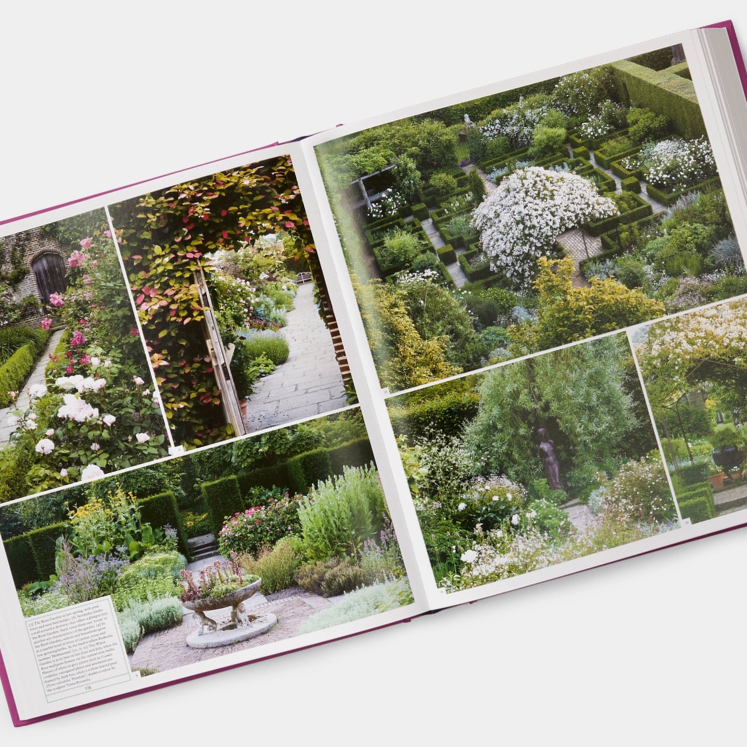 The Gardener's Garden: Inspiration Across Continents and Centuries Phaidon Book