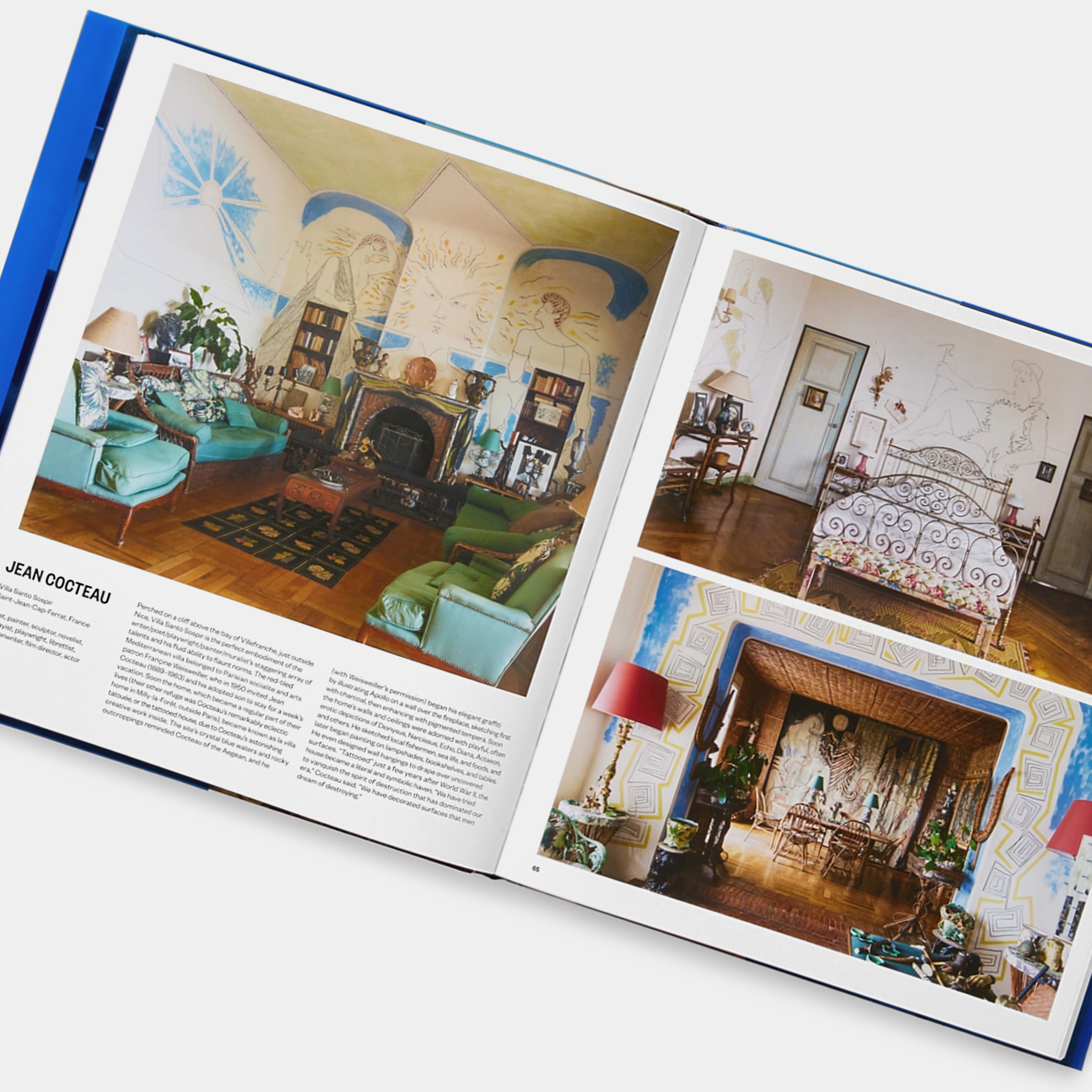 Life Meets Art: Inside the Homes of the World's Most Creative People Phaidon Book