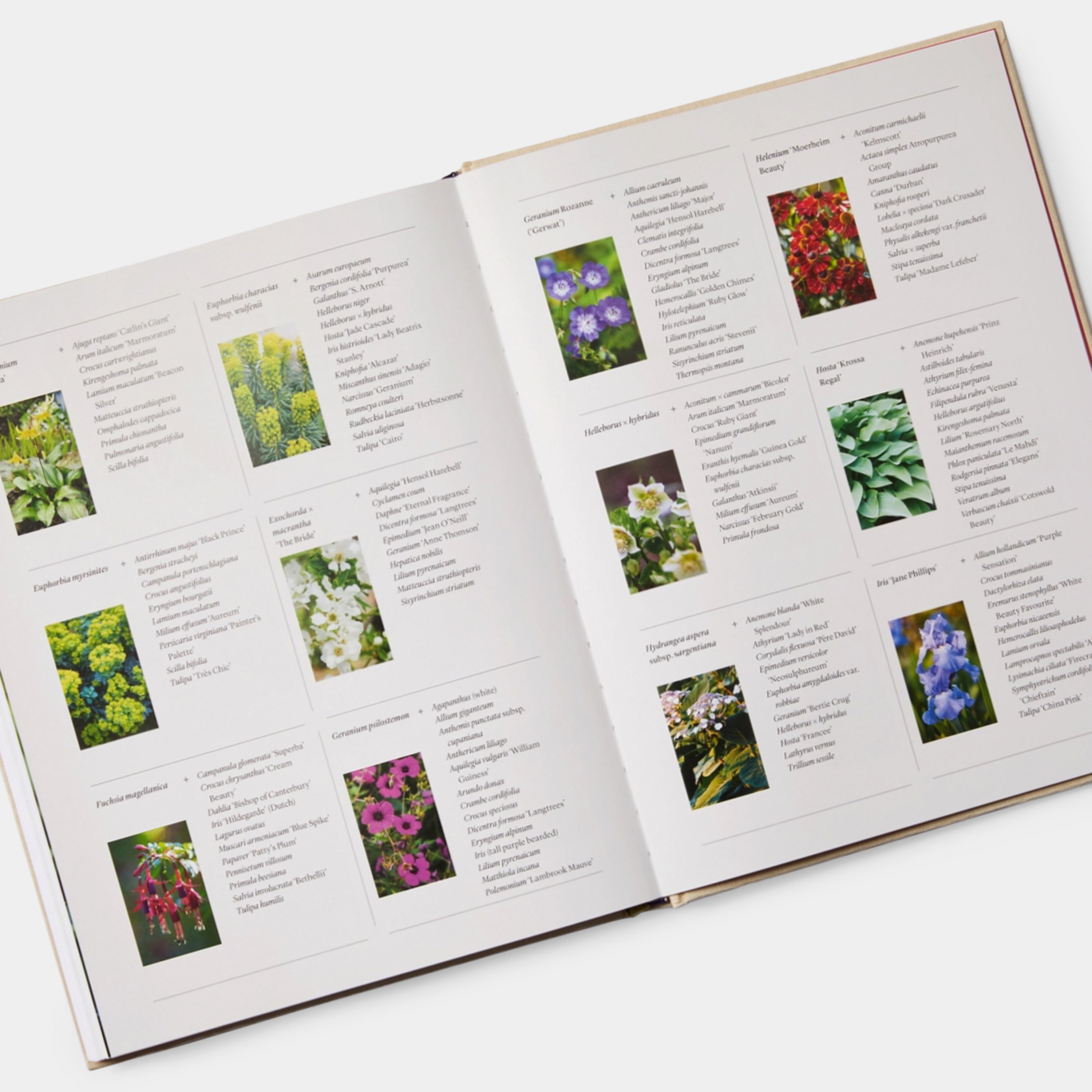 The Seasonal Gardener: Creative Planting Combinations Phaidon Book