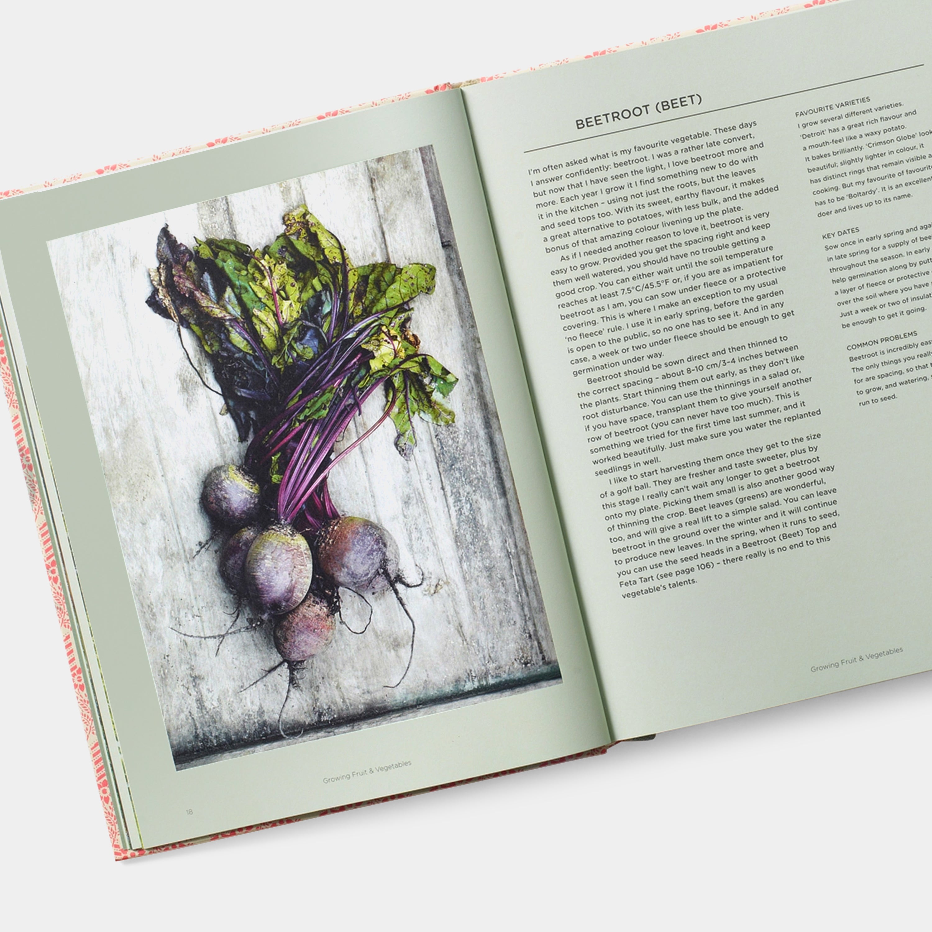 The Great Dixter Cookbook: Recipes From An English Garden Phaidon Book