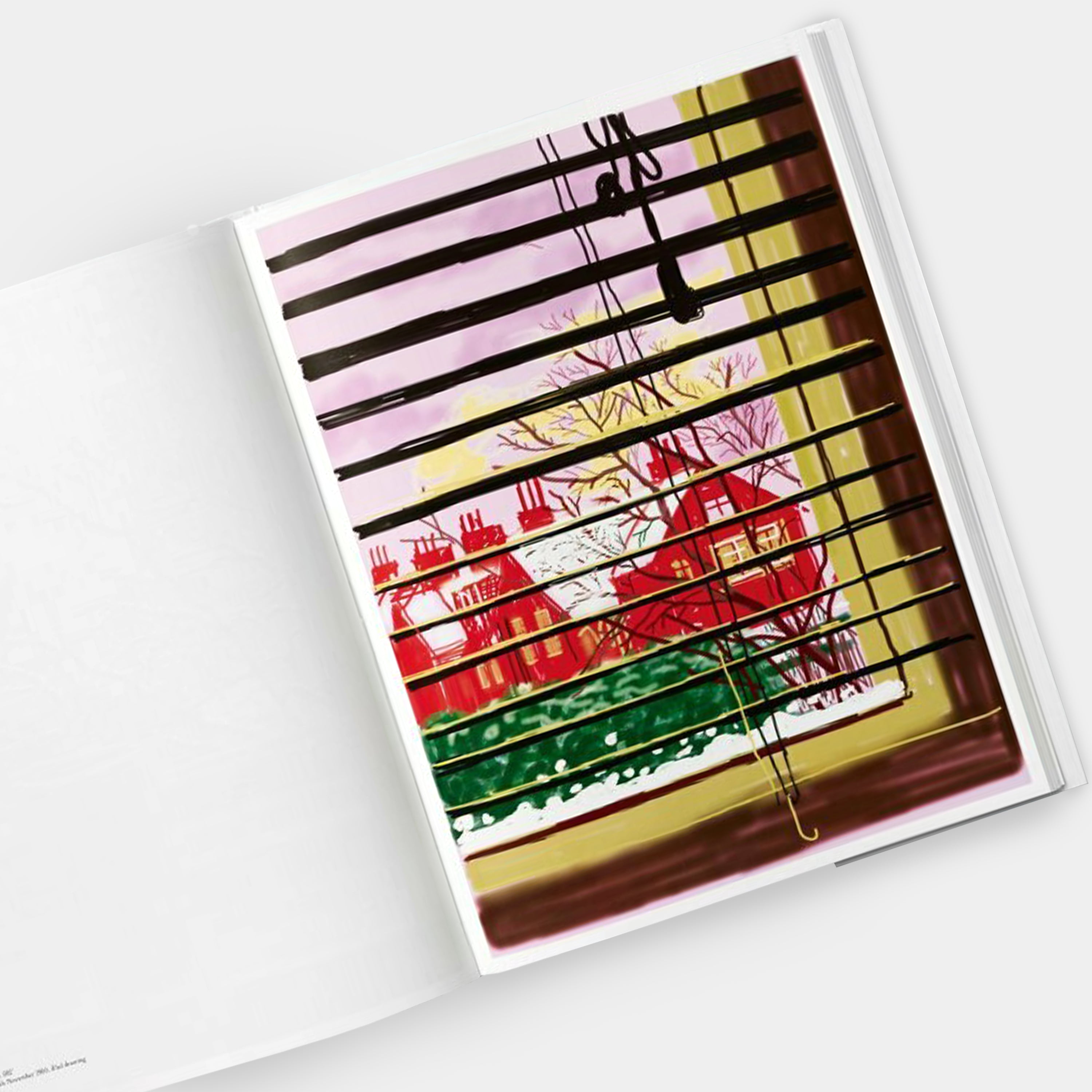 David Hockney. My Window XL Taschen Book