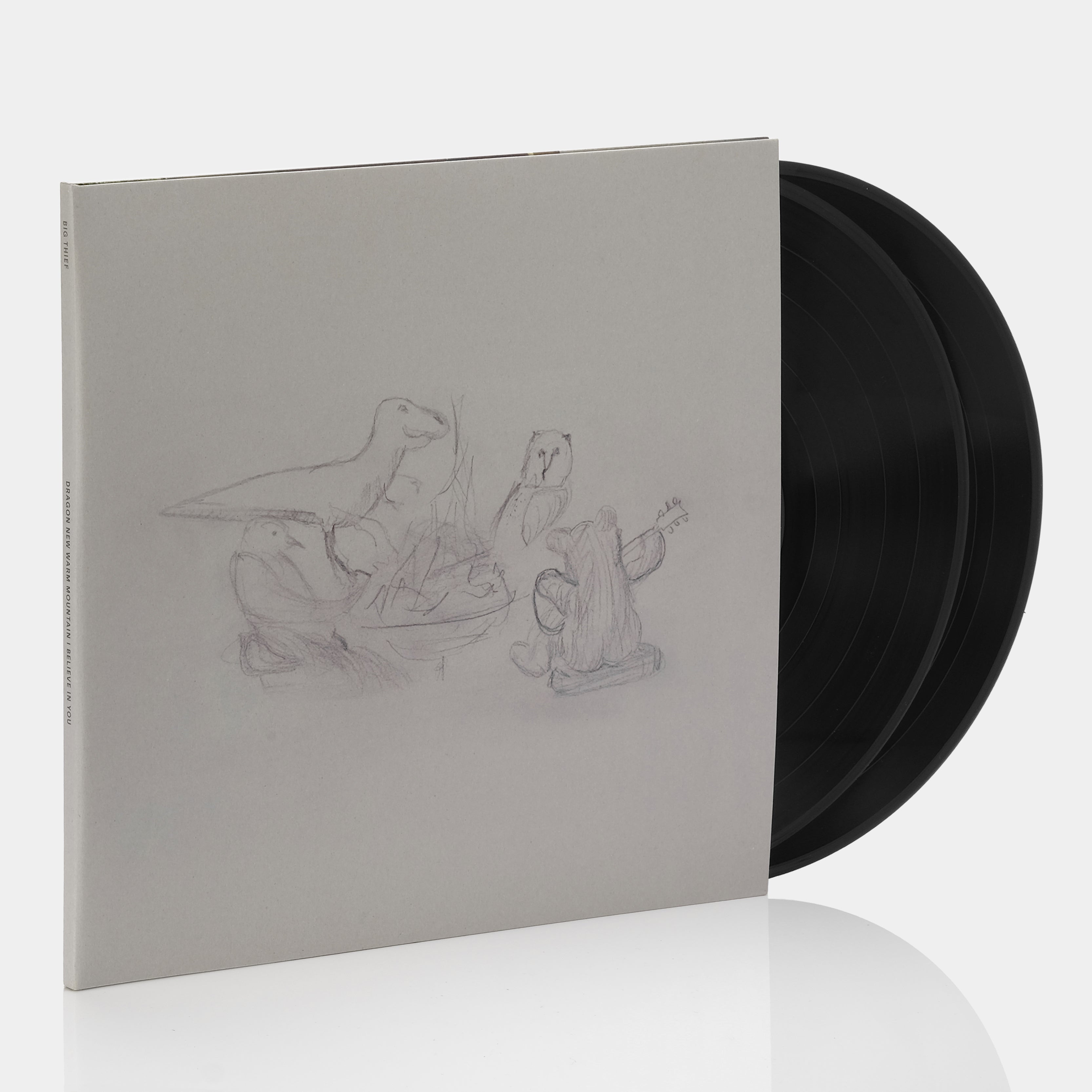 Big Thief - Dragon New Warm Mountain I Believe In You 2xLP Vinyl Record