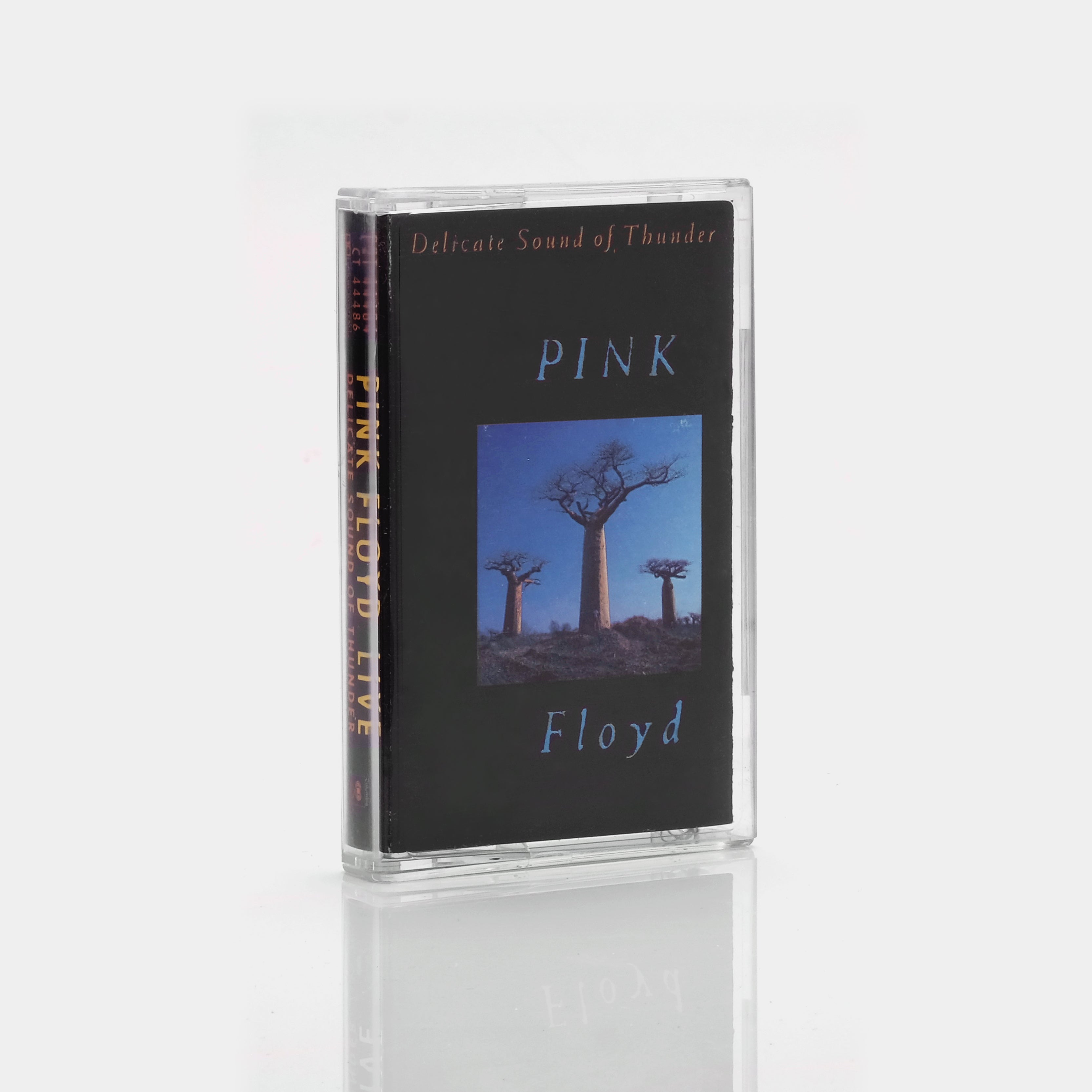 Pink Floyd - Delicate Sound Of Thunder (Tape 2 of 2) Cassette Tape