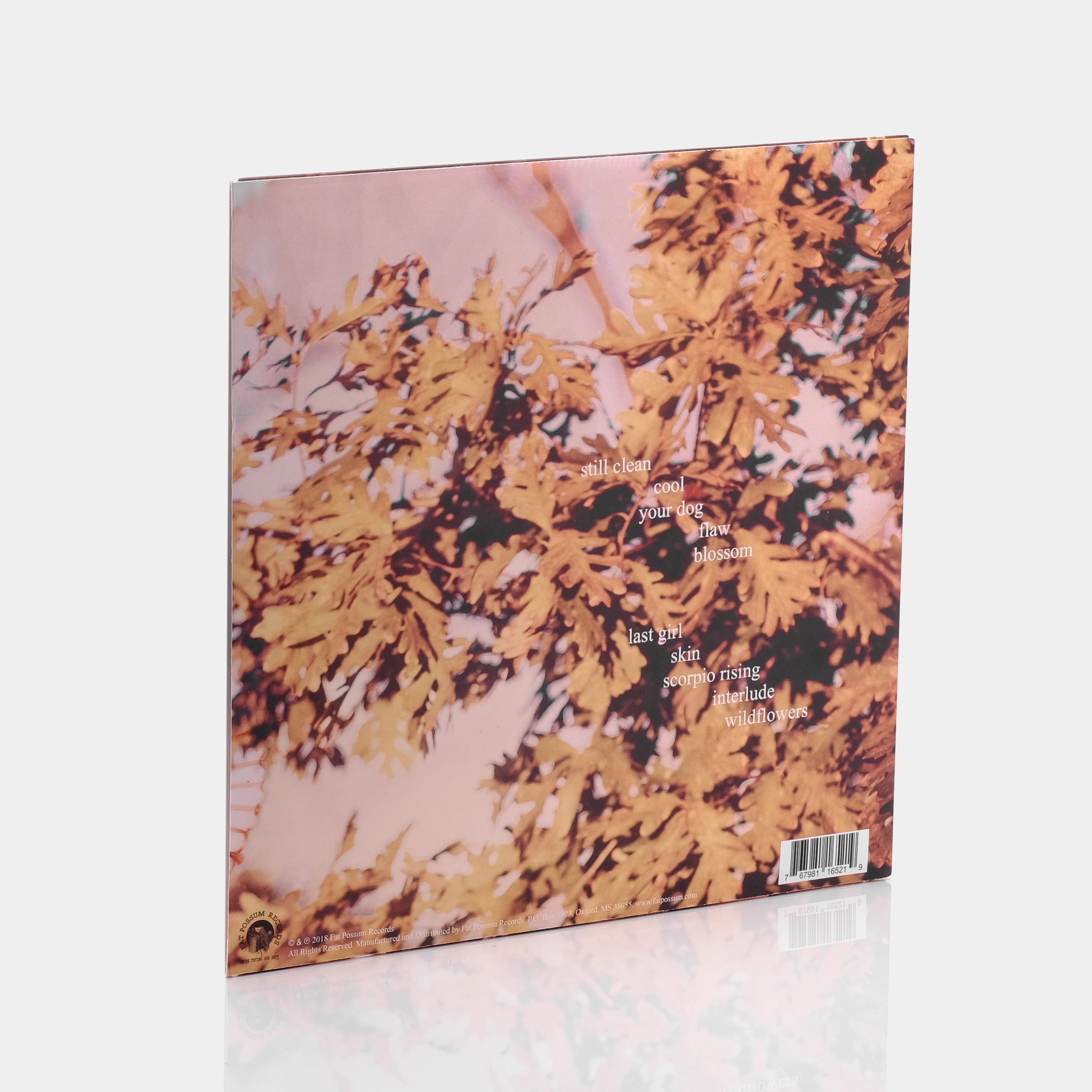 Soccer Mommy - Clean LP Vinyl Record