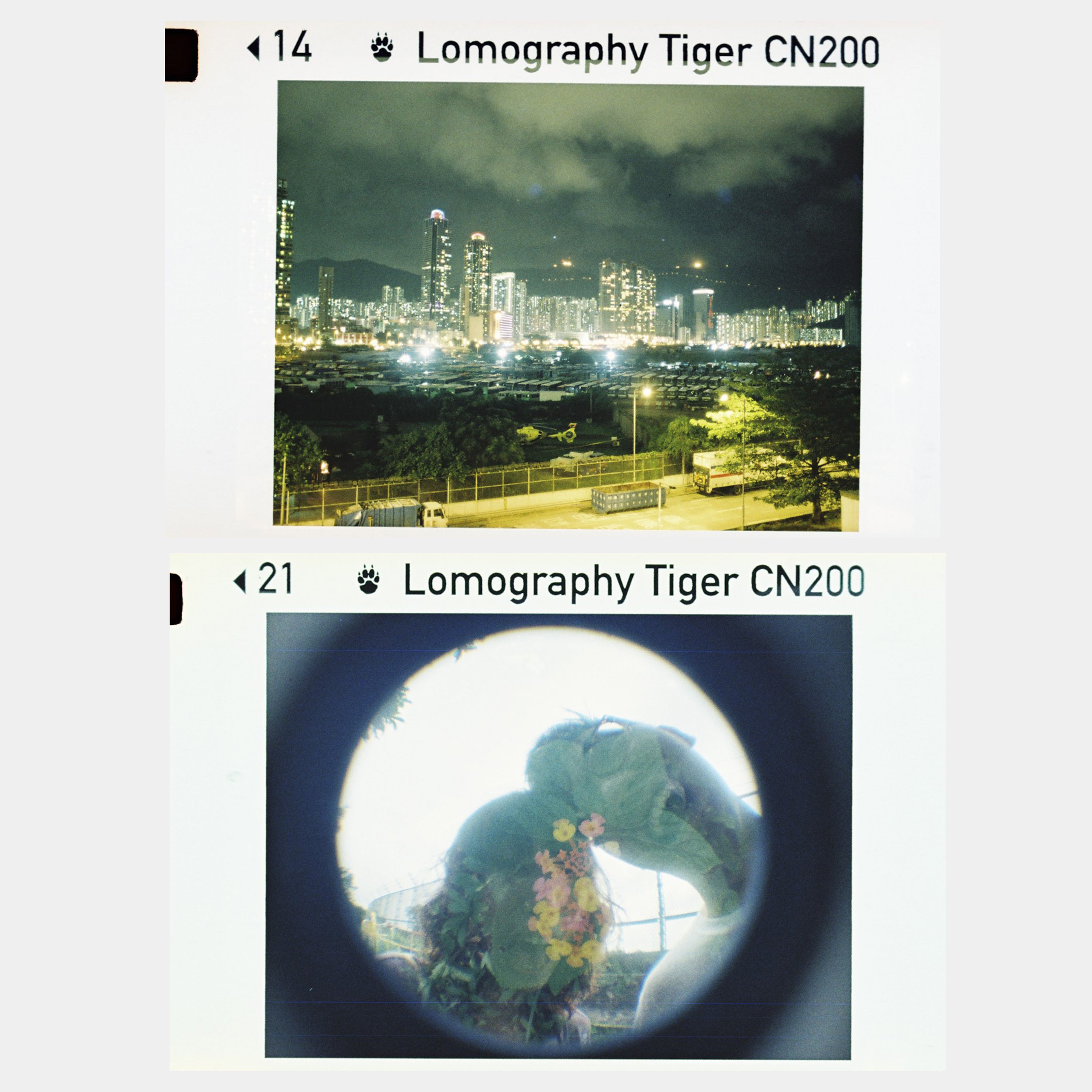 Lomography Color Tiger 200 ISO 110 Film - 3 Pack