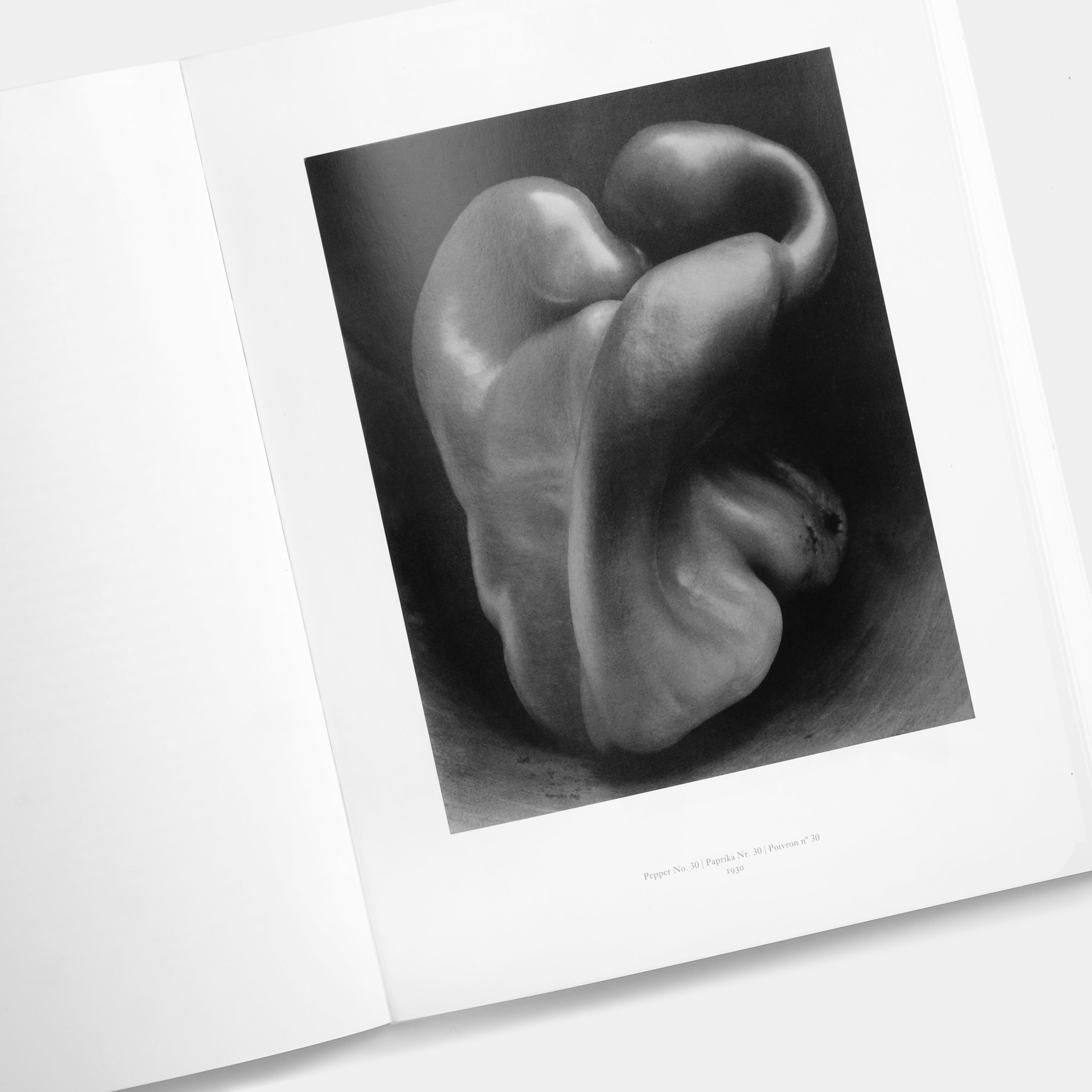 Edward Weston by Terrence Pitts Taschen Book
