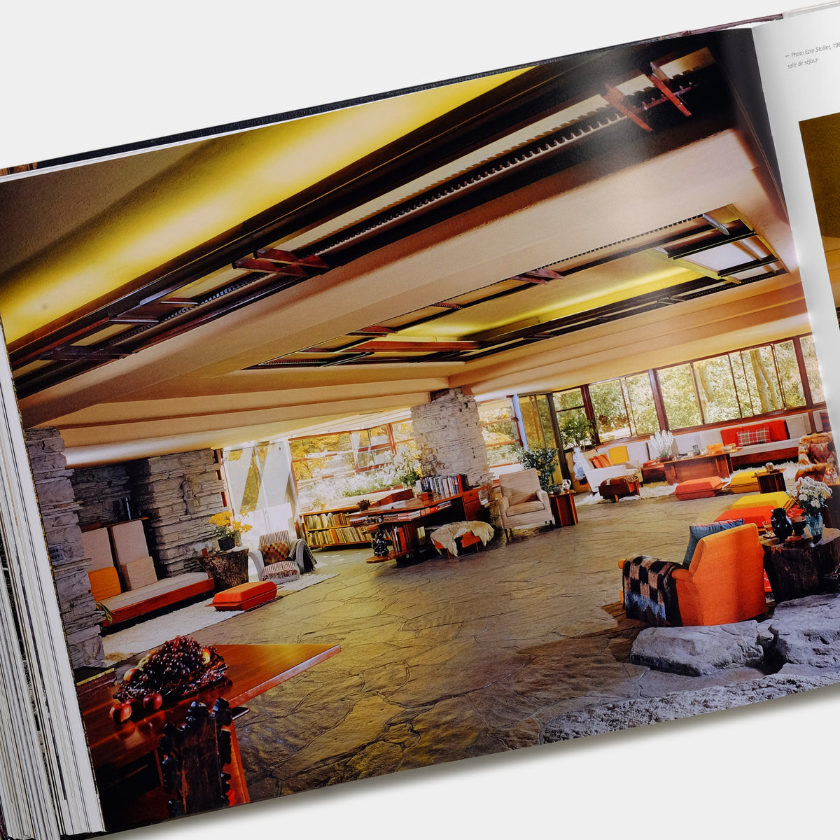 Frank Lloyd Wright by Bruce Brooks Pfeiffer Taschen Book