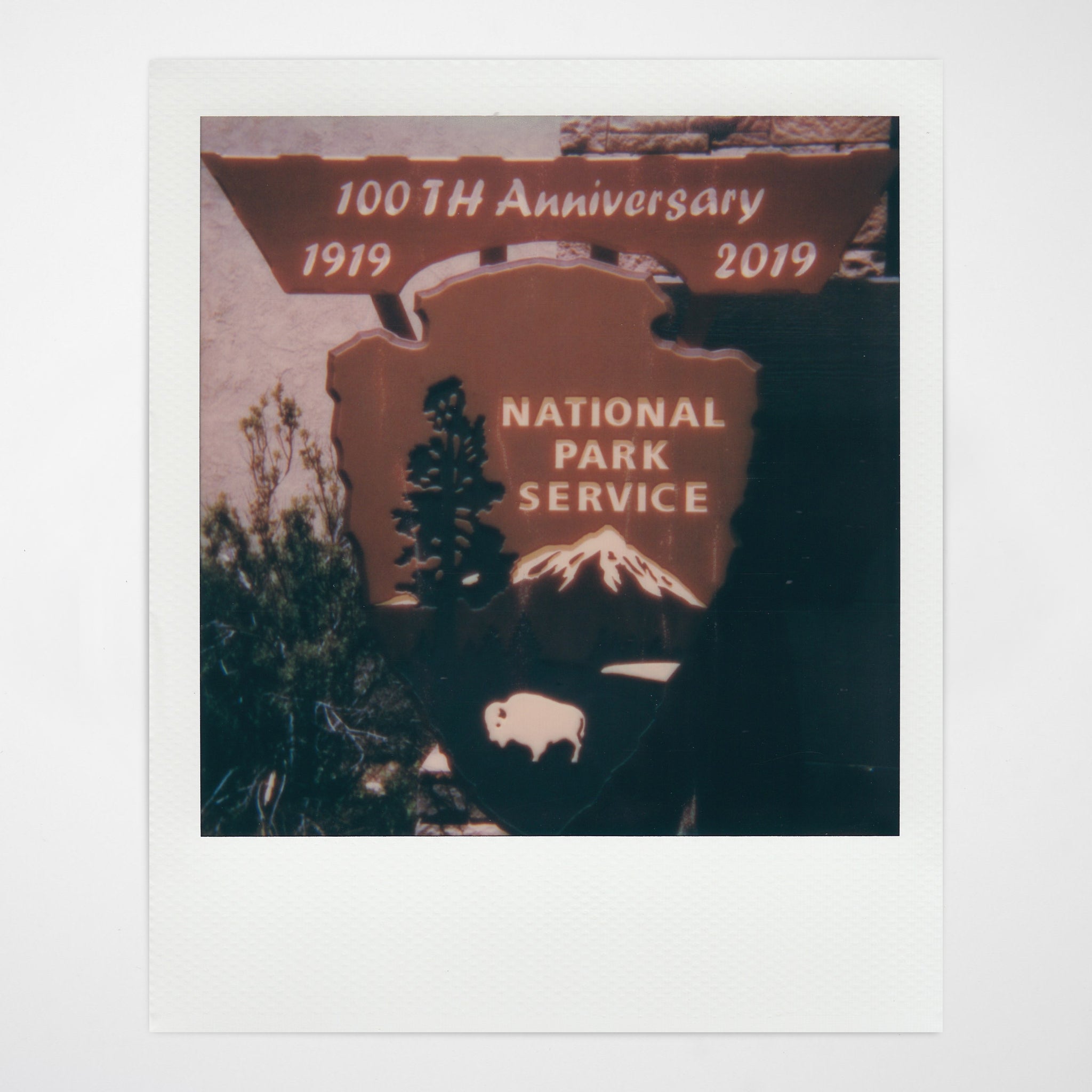 Polaroid 600 Grand Canyon Centennial Instant Film Camera