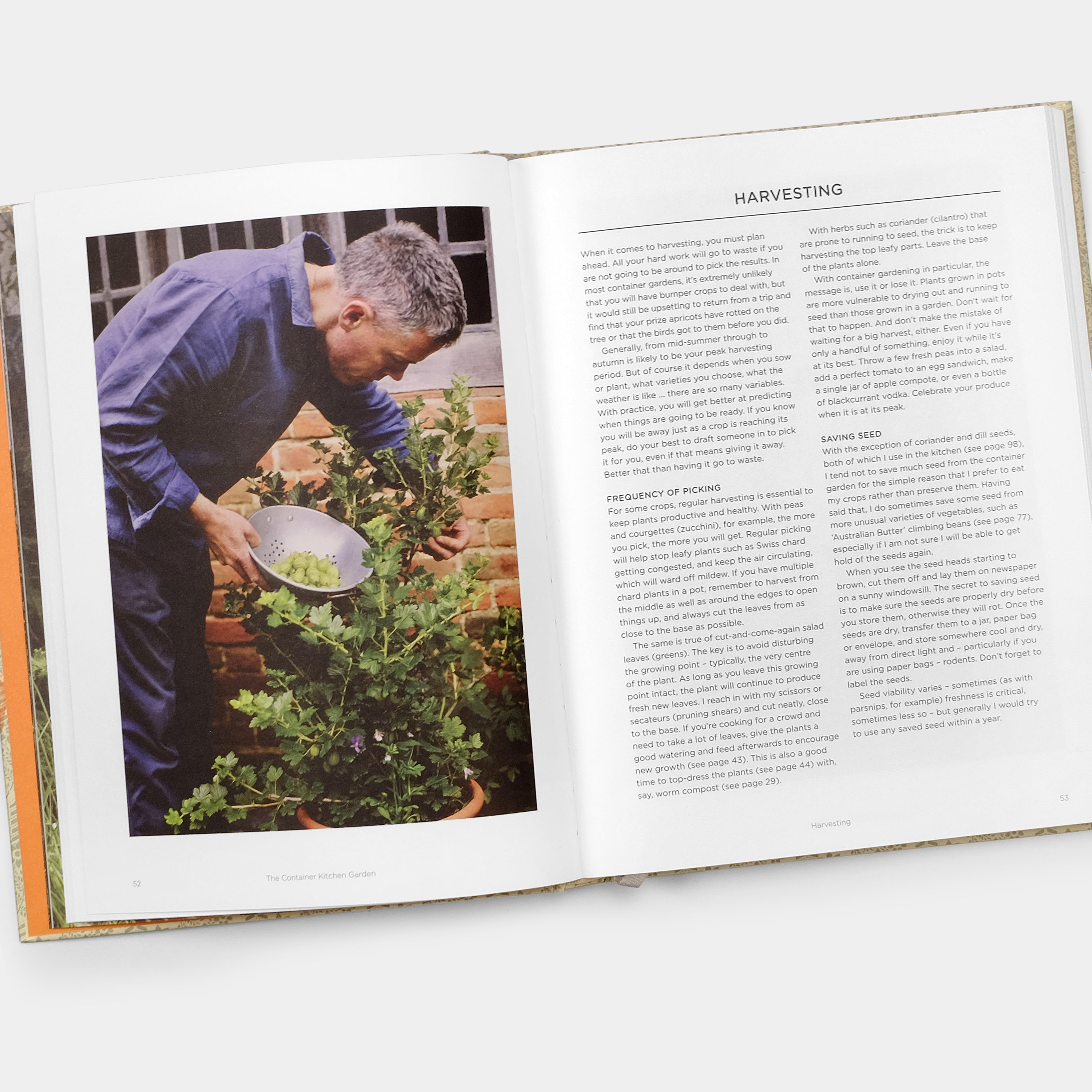 Grow Fruit & Vegetables in Pots: Planting Advice & Recipes from Great Dixter by Aaron Bertelsen Phaidon Book