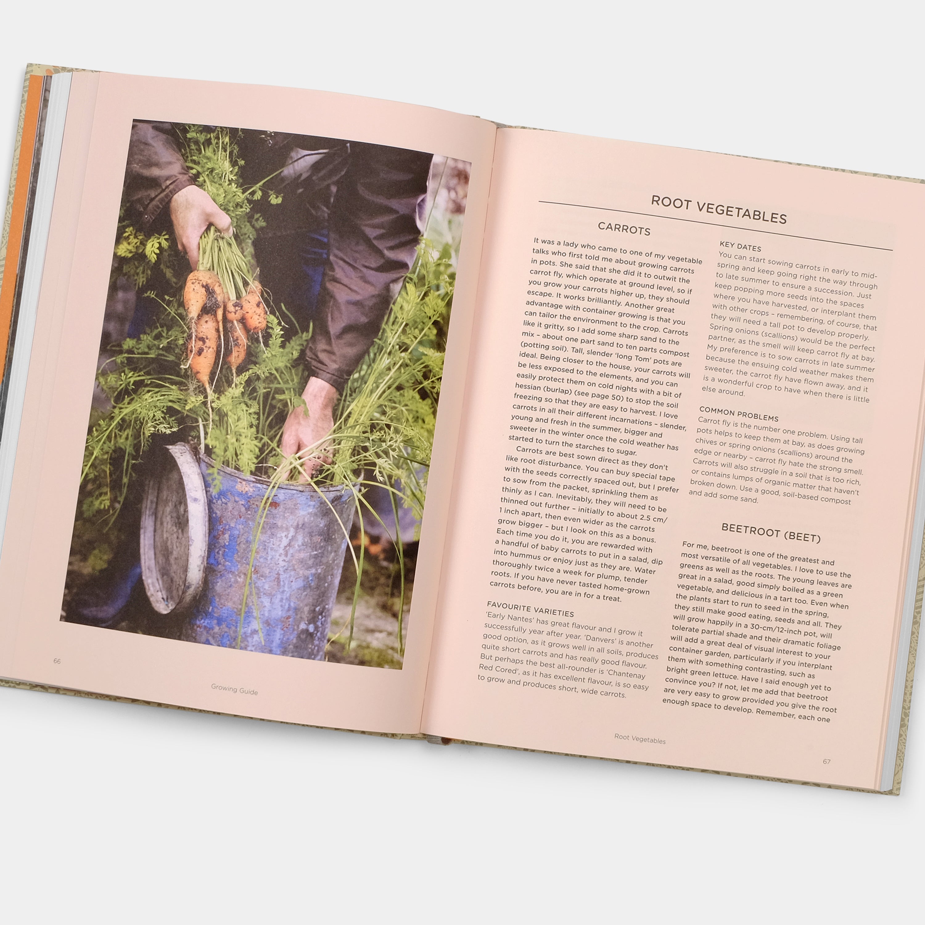 Grow Fruit & Vegetables in Pots: Planting Advice & Recipes from Great Dixter by Aaron Bertelsen Phaidon Book