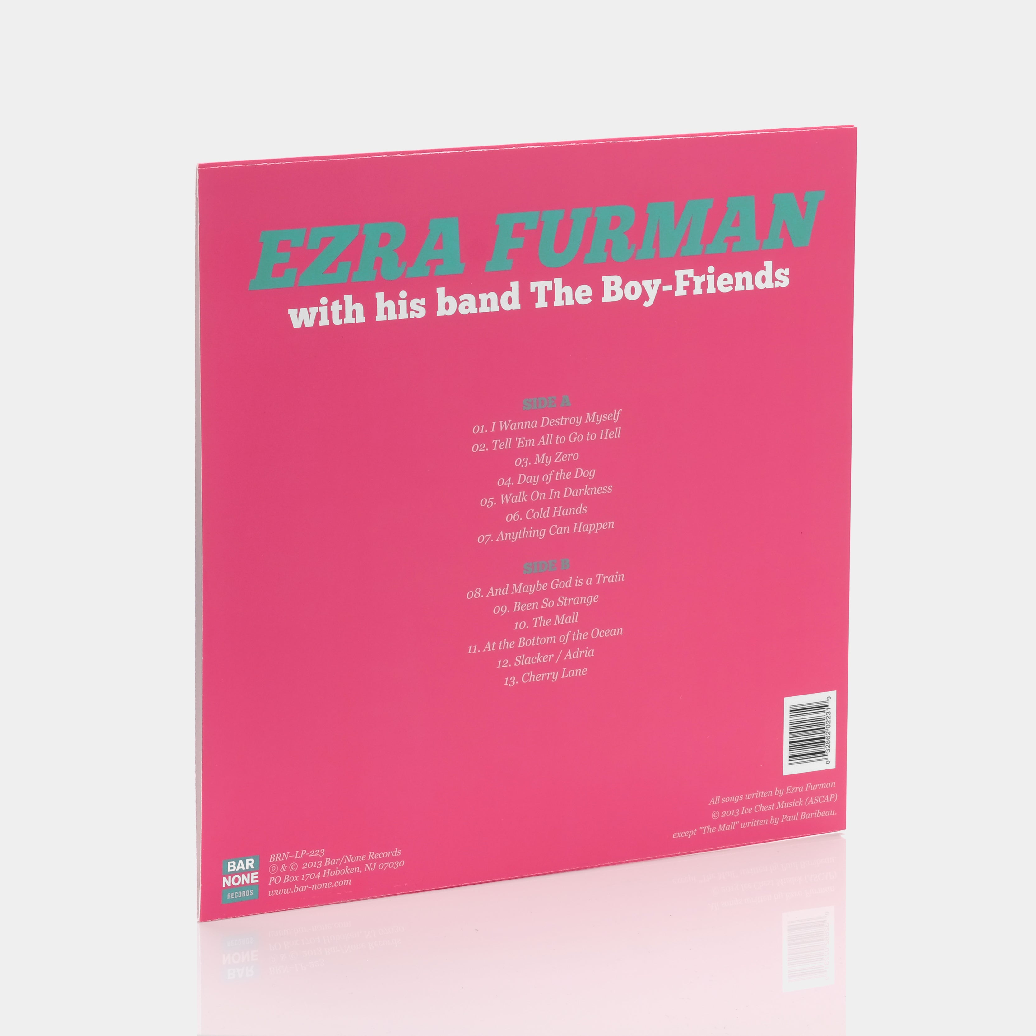 trappe Compulsion pubertet Ezra Furman - Day Of The Dog LP Vinyl Record