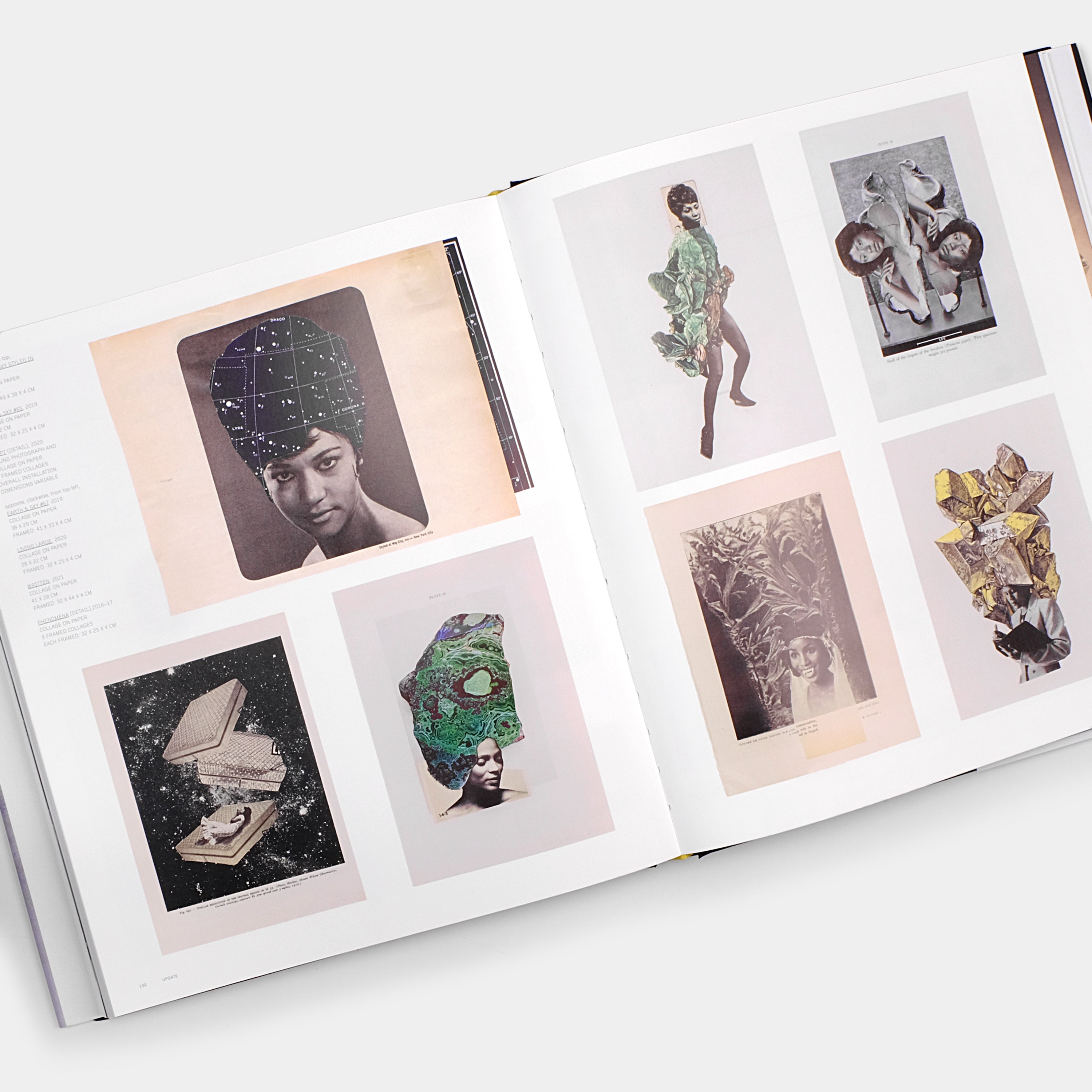 Lorna Simpson: Revised & Expanded Edition Phaidon Book