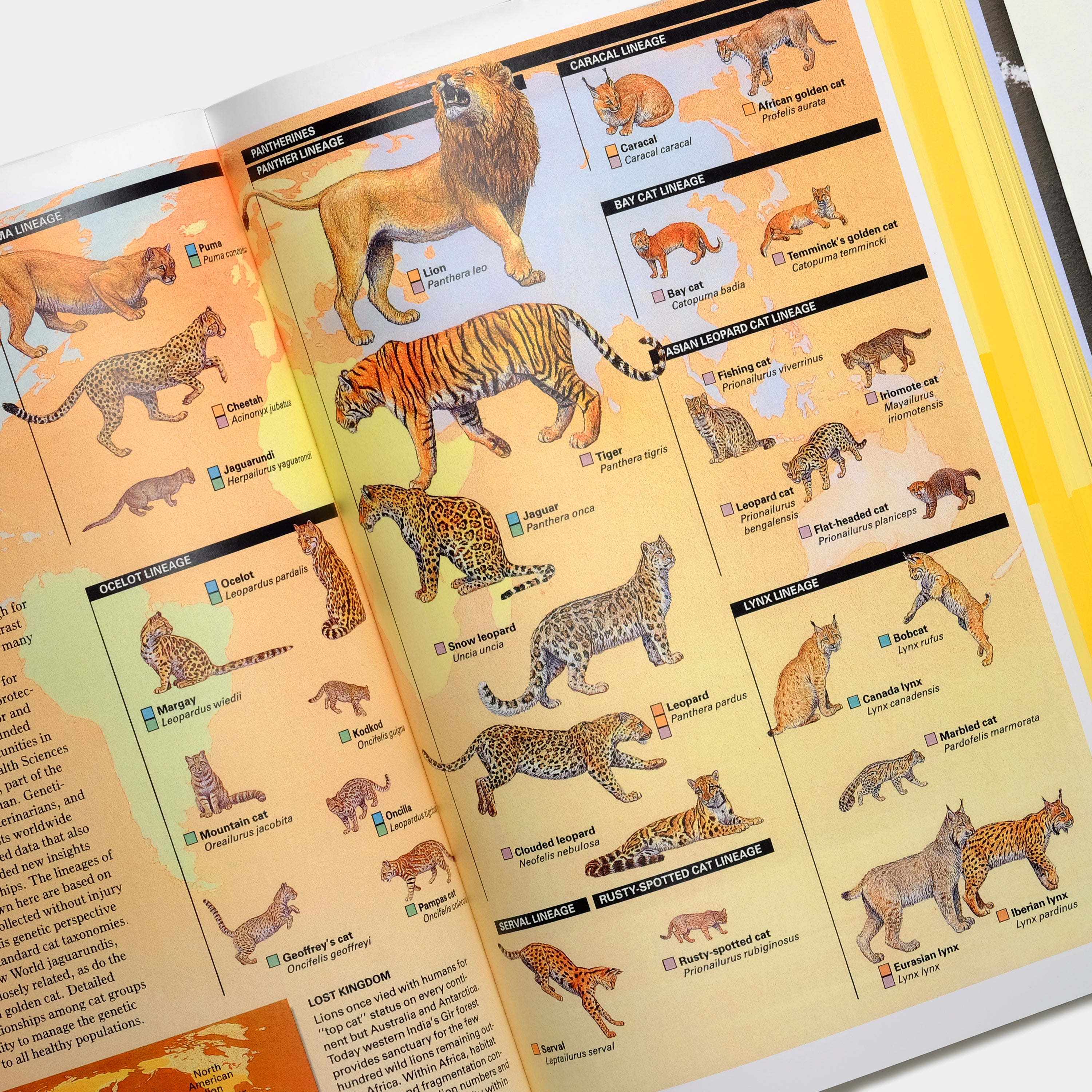 National Geographic Infographics XL Taschen Book