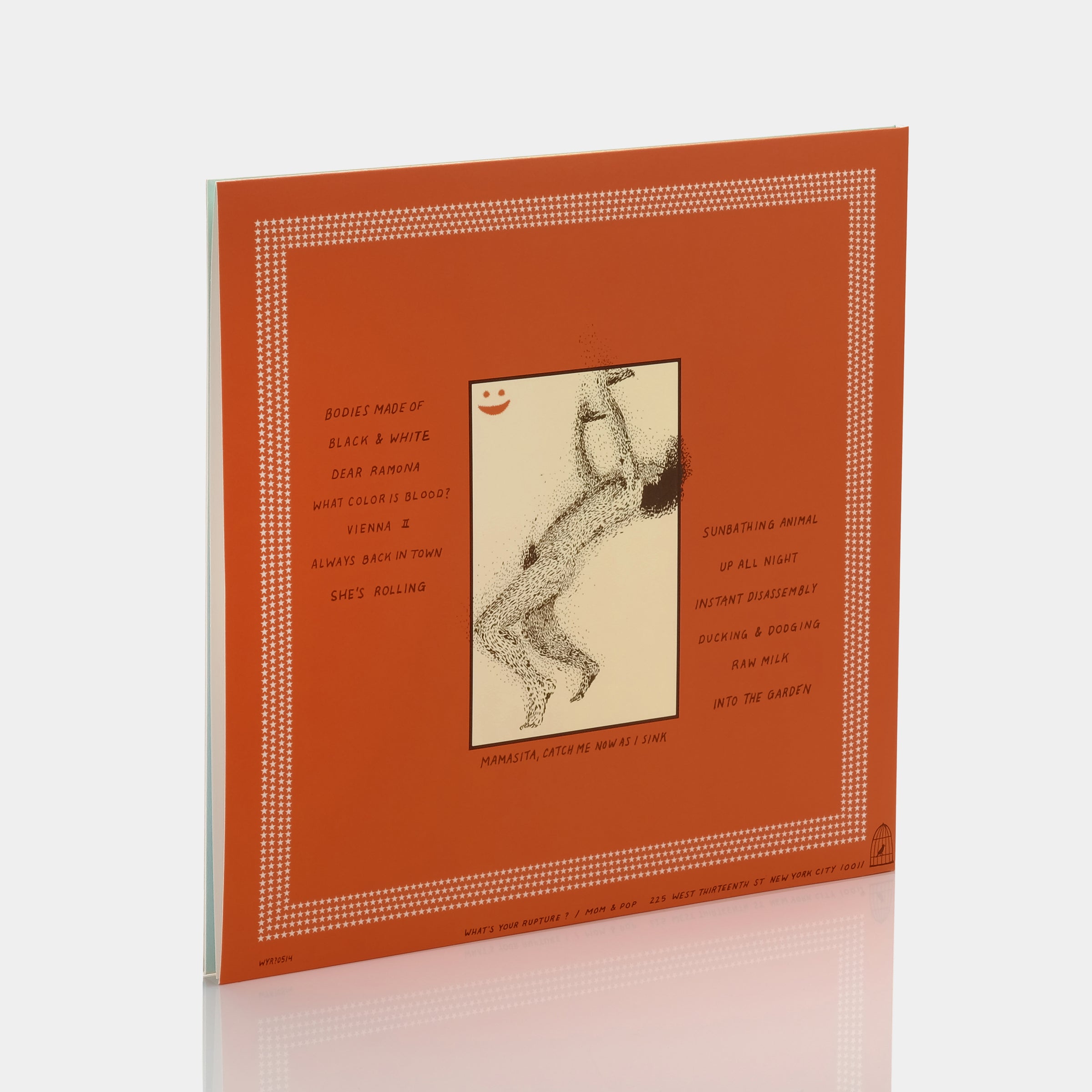 Parquet Courts Sunbathing Animal LP Vinyl Record