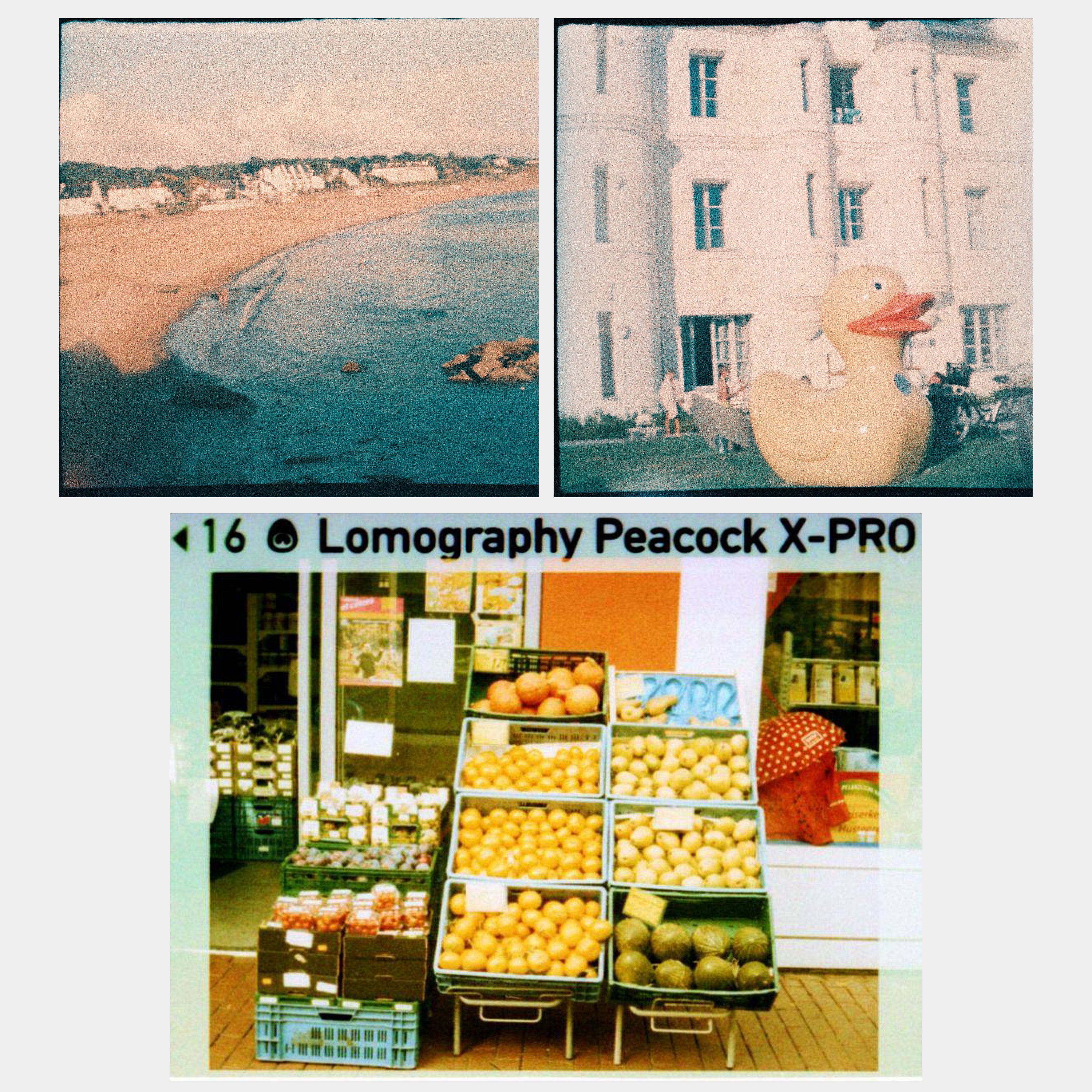 Lomography Peacock X-Pro Slide ISO 200 110 Film (24 Exposures)