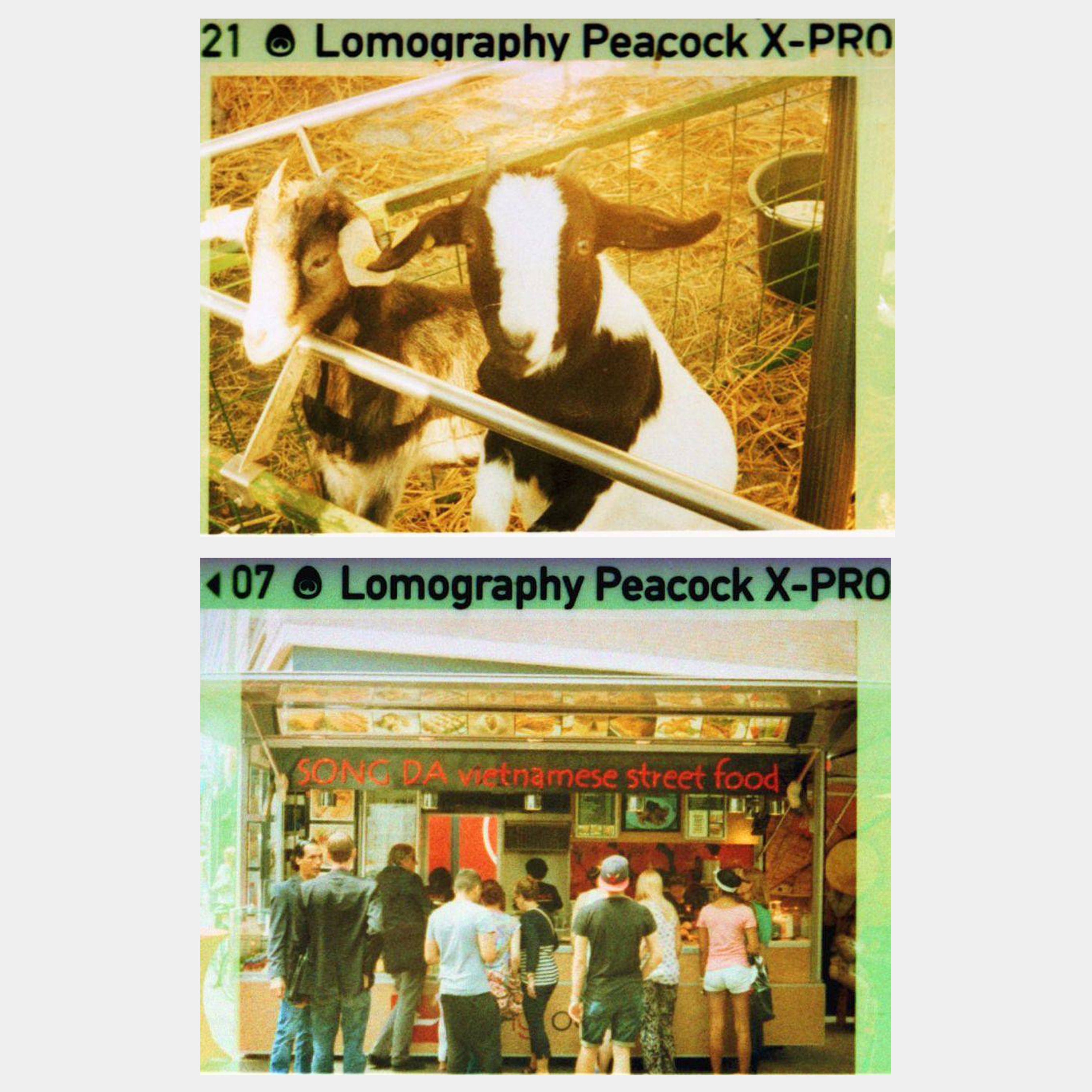 Lomography Peacock X-Pro Slide ISO 200 110 Film (24 Exposures)