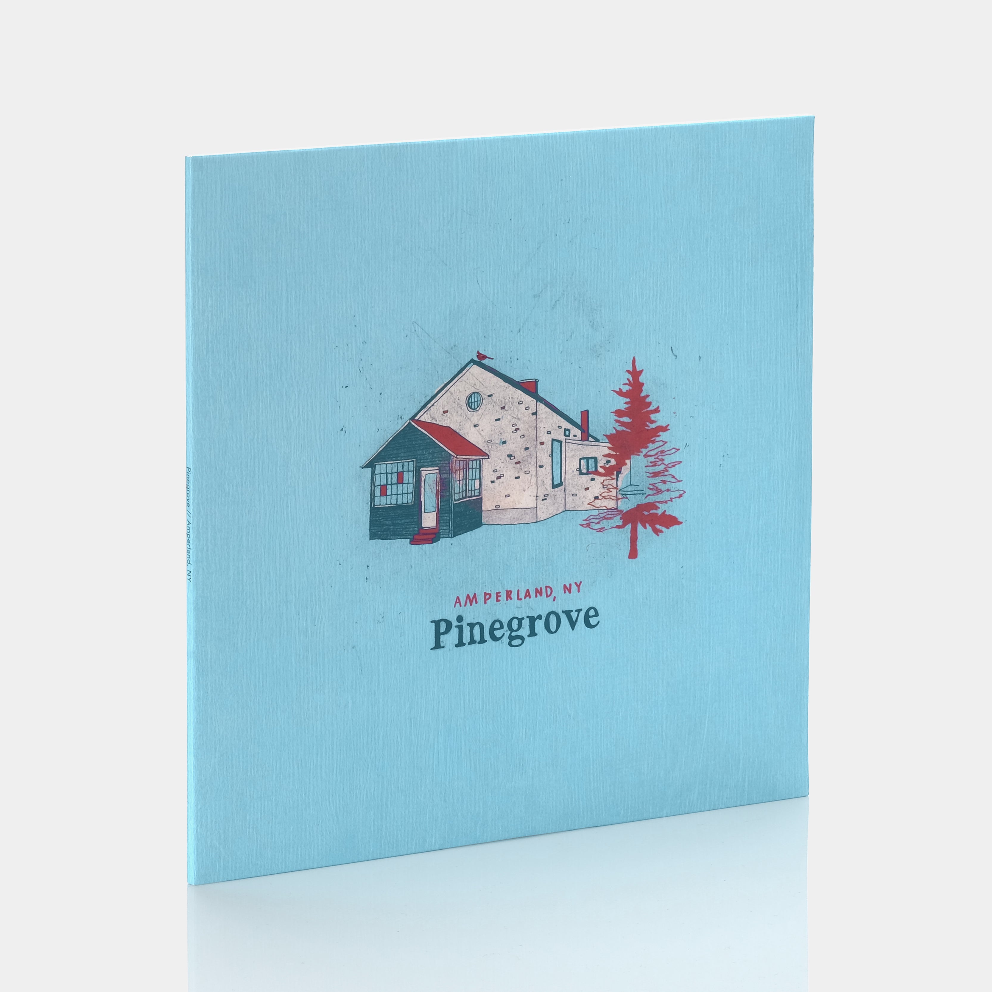 Pinegrove - Amperland, NY 2xLP Vinyl Record