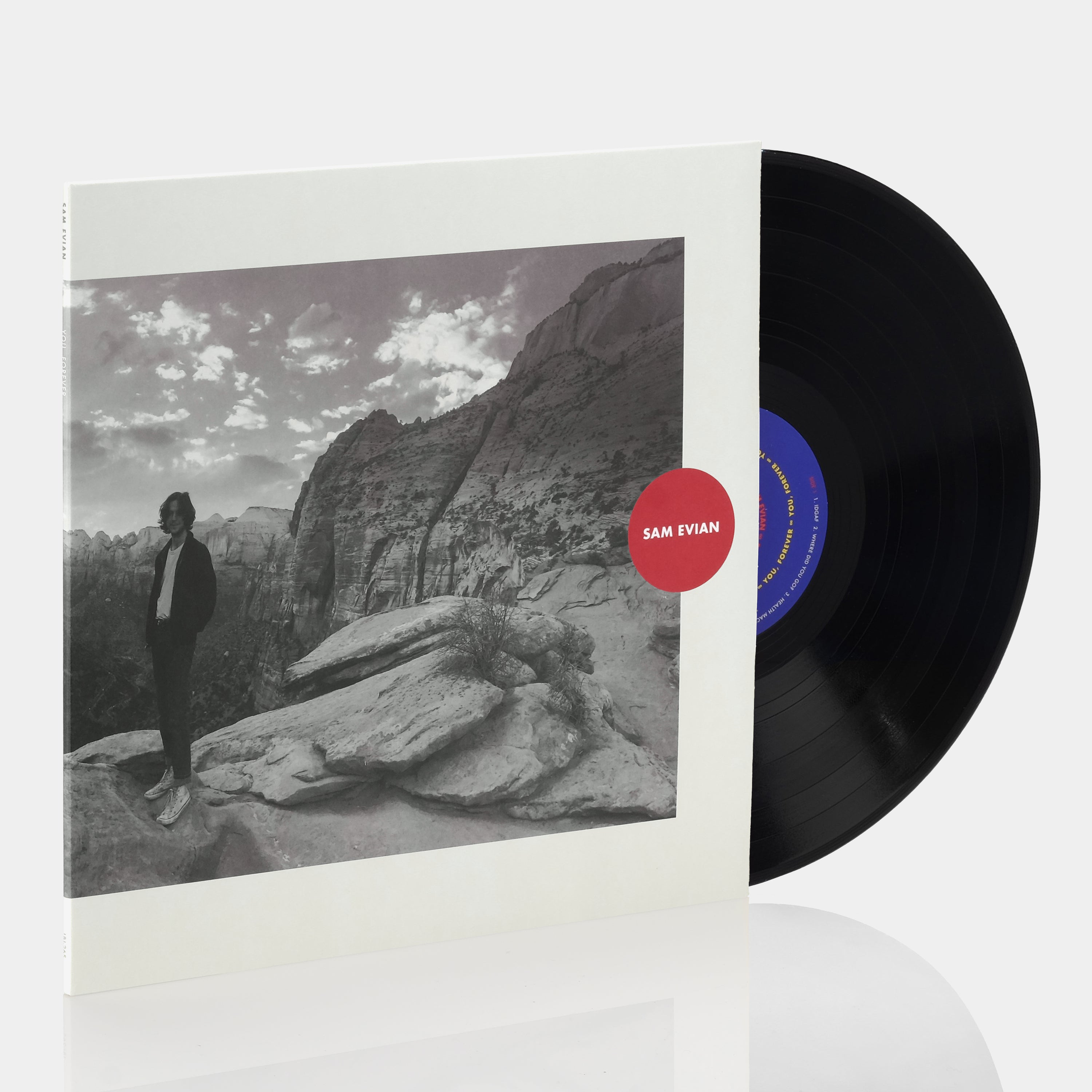 Sam Evian - You, Forever LP Vinyl Record