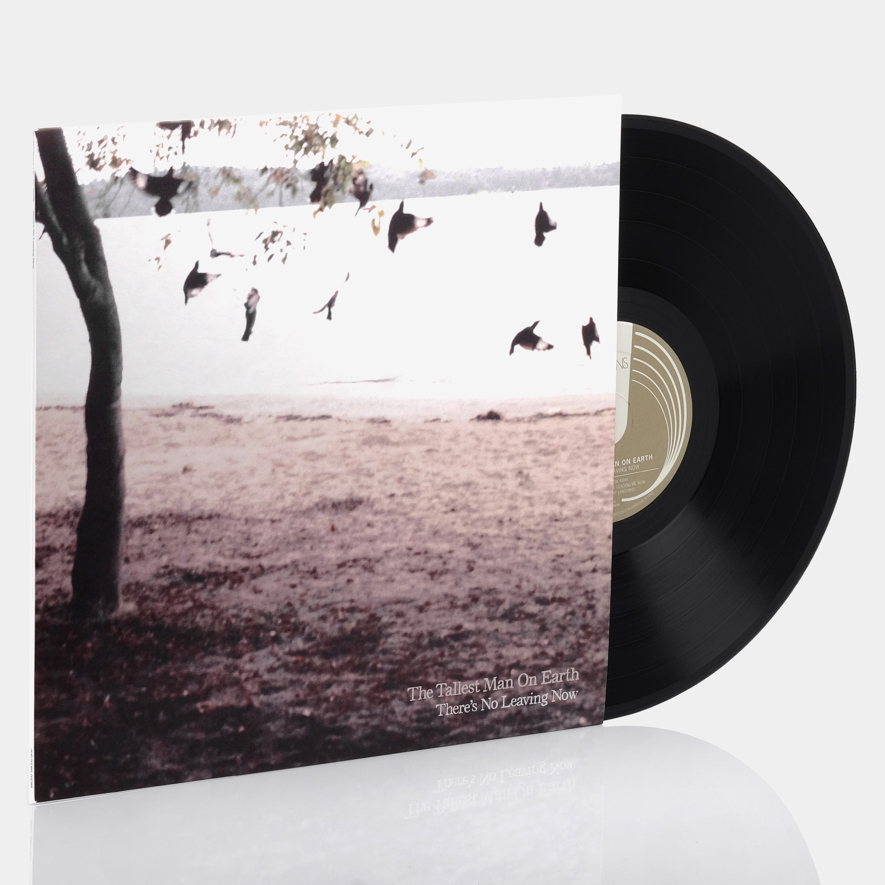 The Tallest Man On Earth - There's No Leaving Now LP Vinyl Record