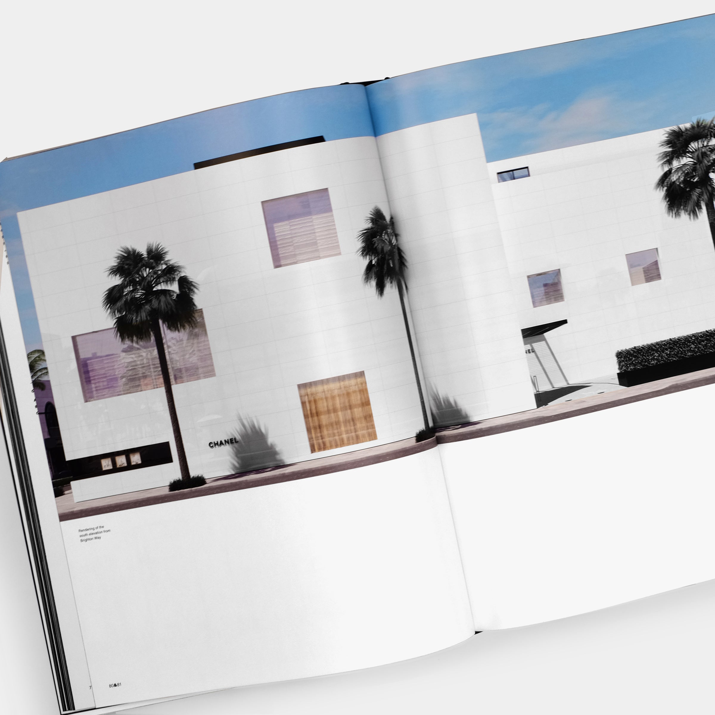 Peter Marino The Architecture Of Chanel Phaidon Book