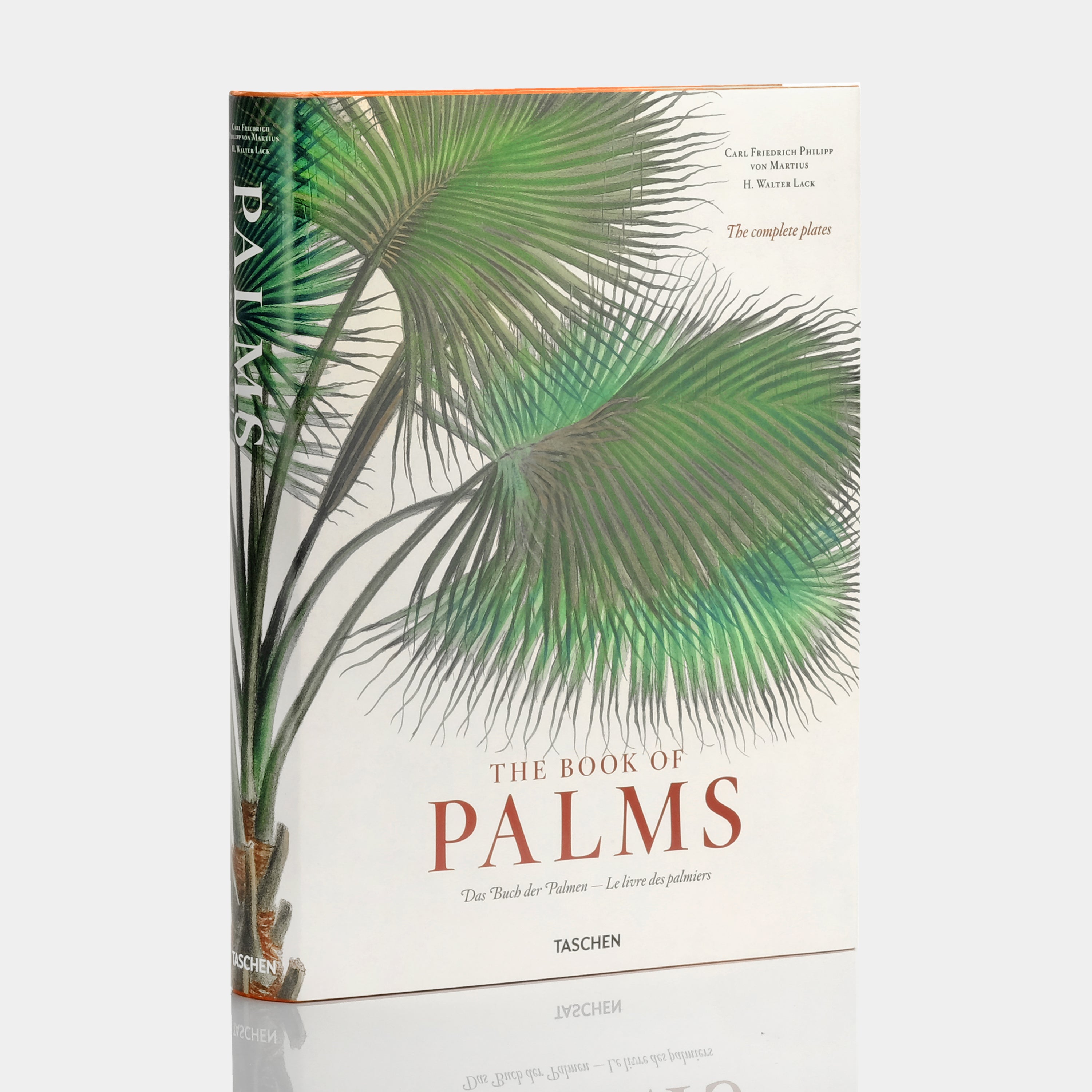 Martius: The Book of Palms by H. Walter Lack XL Taschen Book