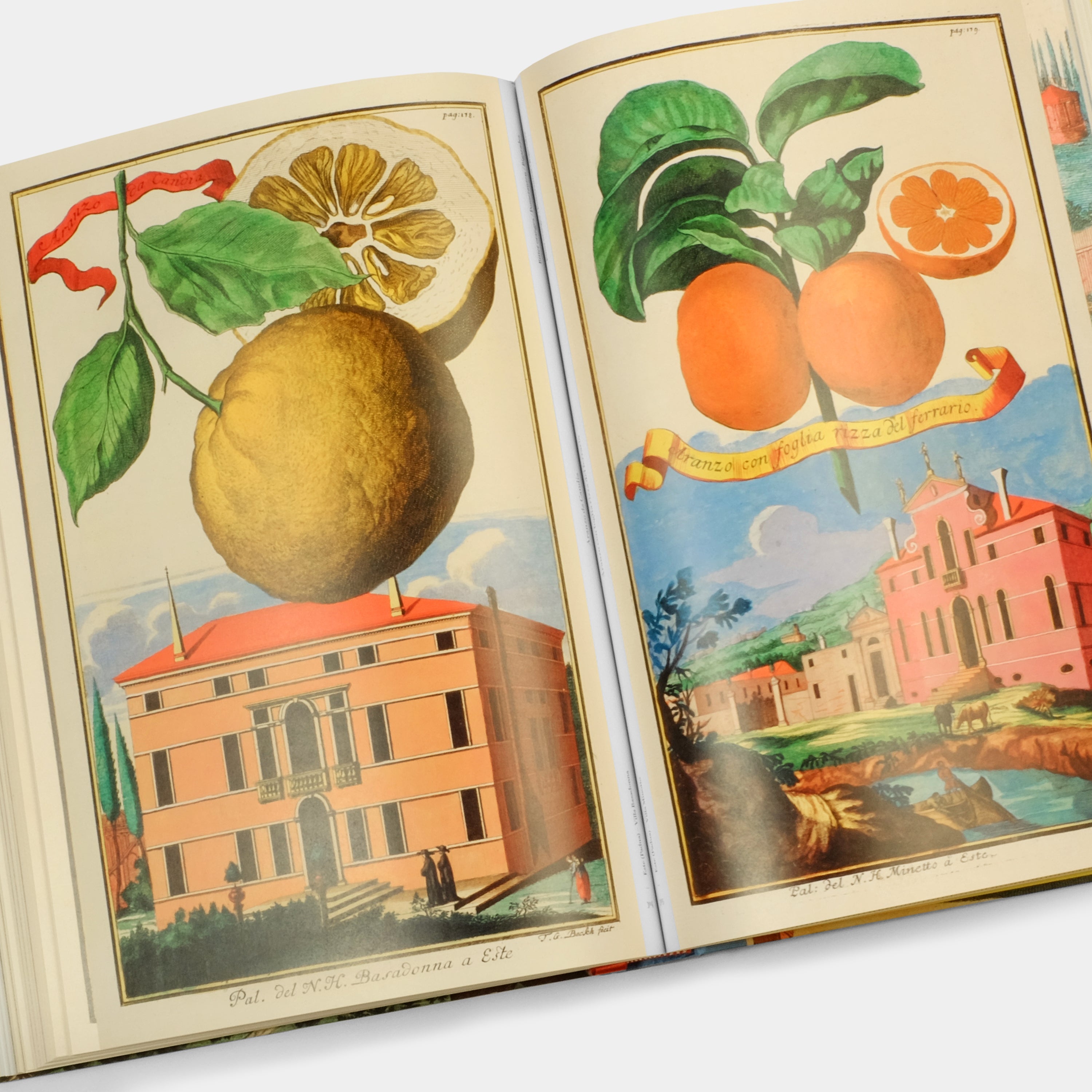 J. C. Volkamer: The Book of Citrus Fruits by Iris Lauterbach XXL Taschen Book