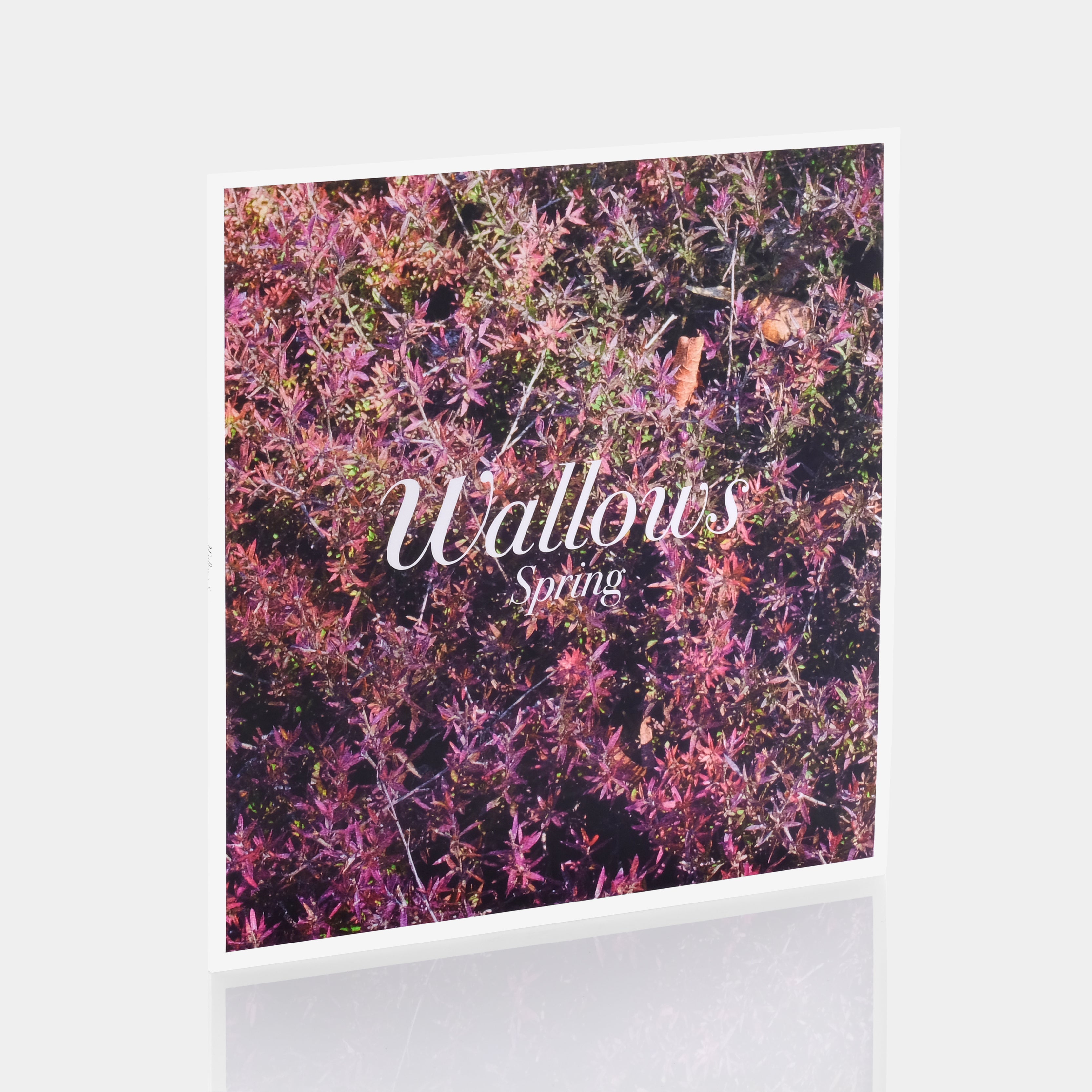 Wallows - Spring EP Green & Pink Vinyl Record