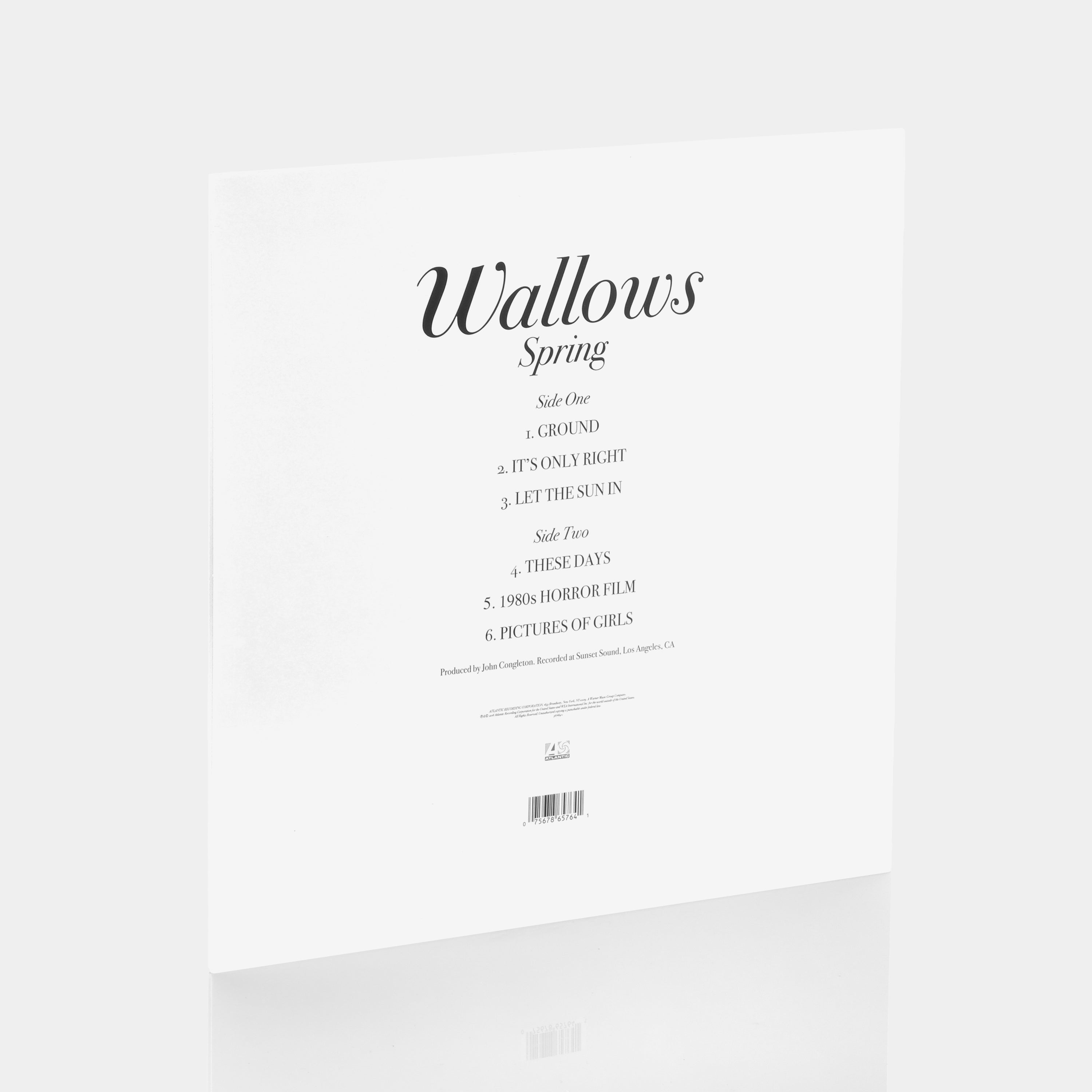 Wallows - Spring EP Green & Pink Vinyl Record