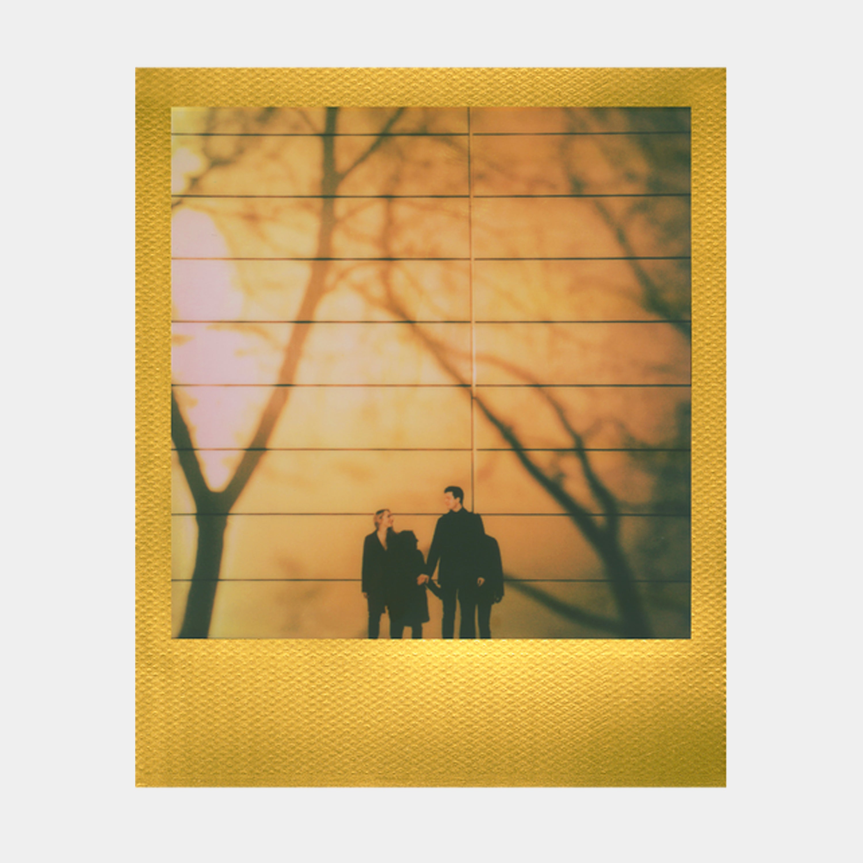 Polaroid Color i-Type Instant Film - Double Pack - Golden Moments Edition