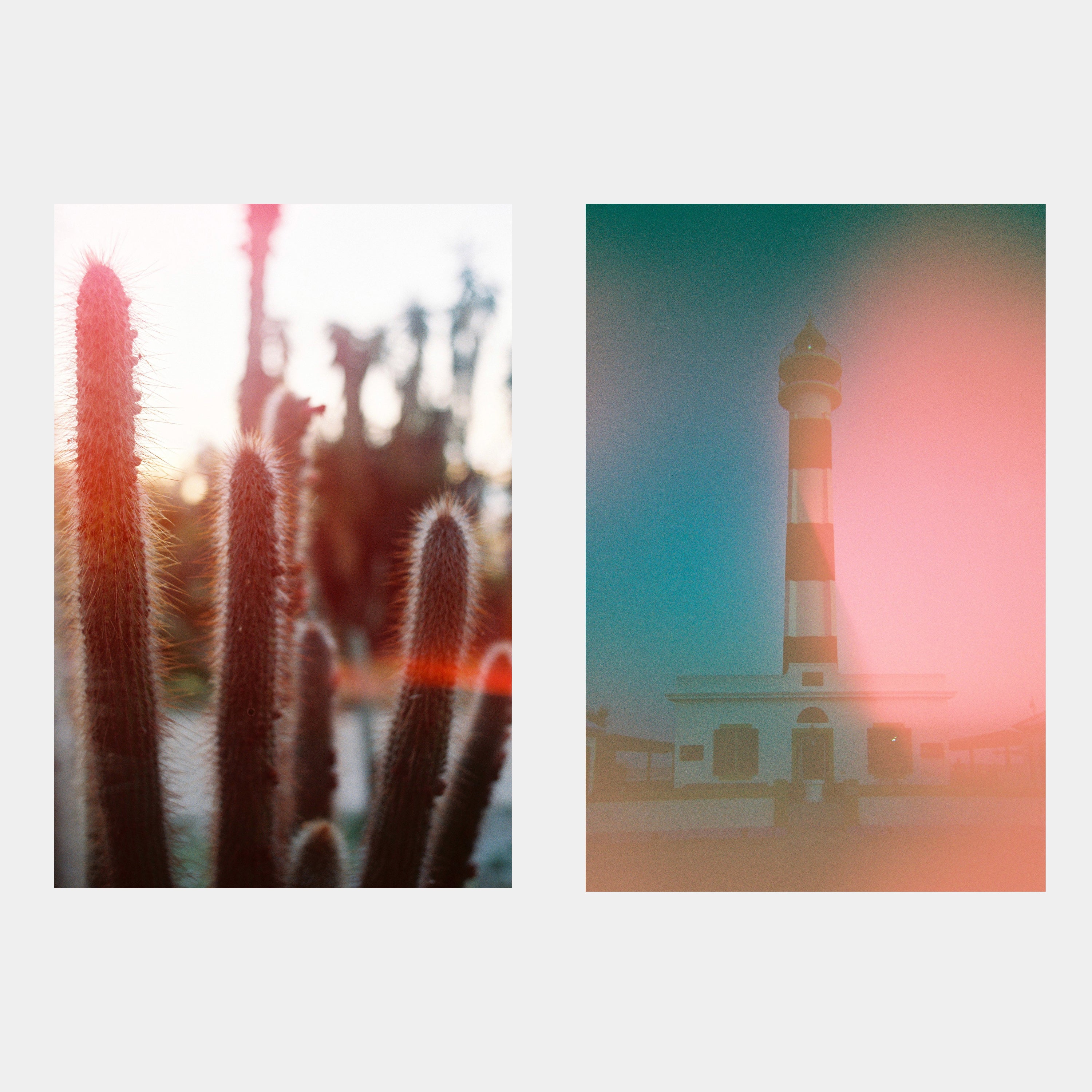 dubblefilm SOLAR Specialty Color Film - Thumbnail 4